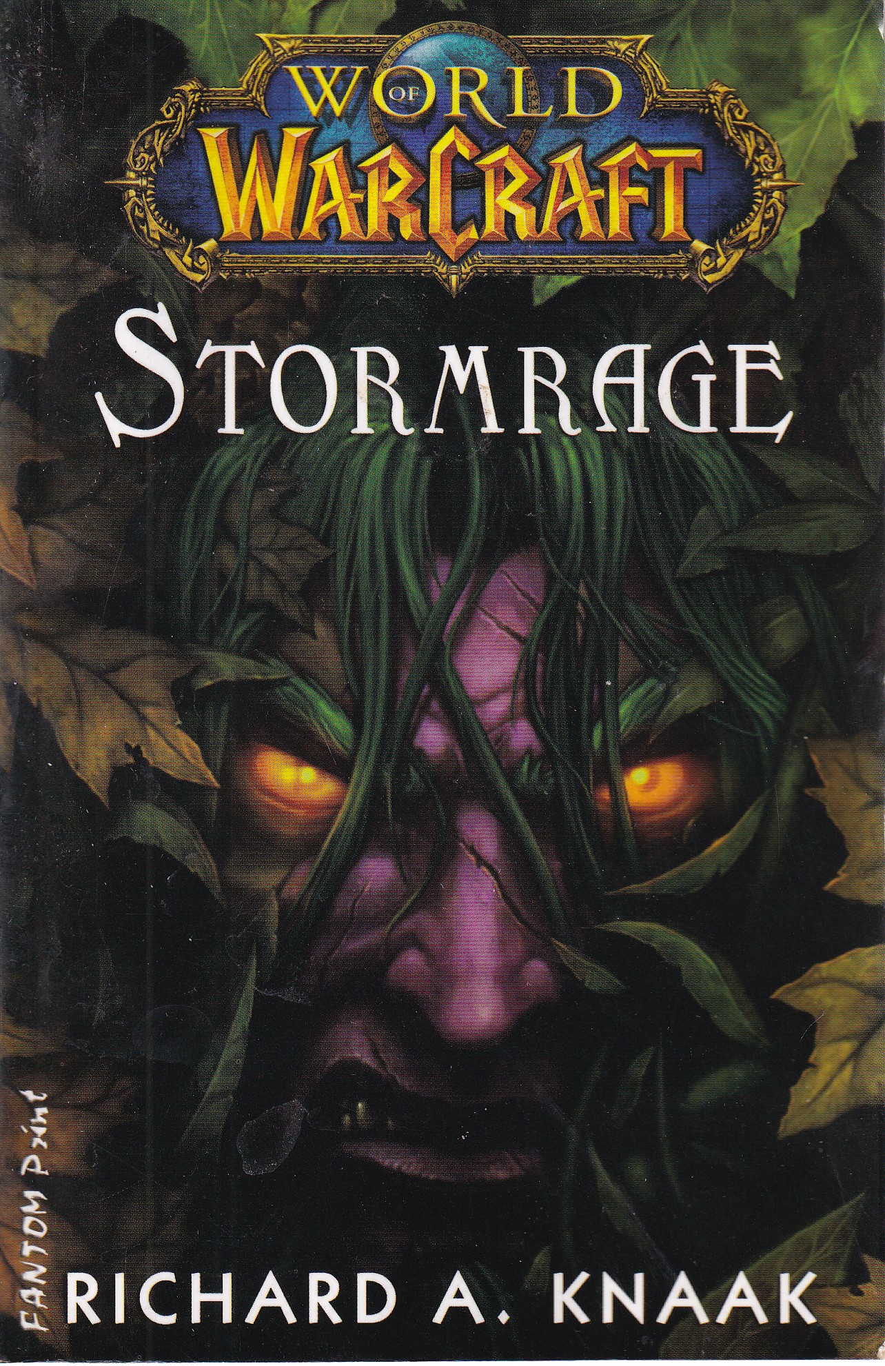 World of warcraft. Stormrage  Richard A. Knaak