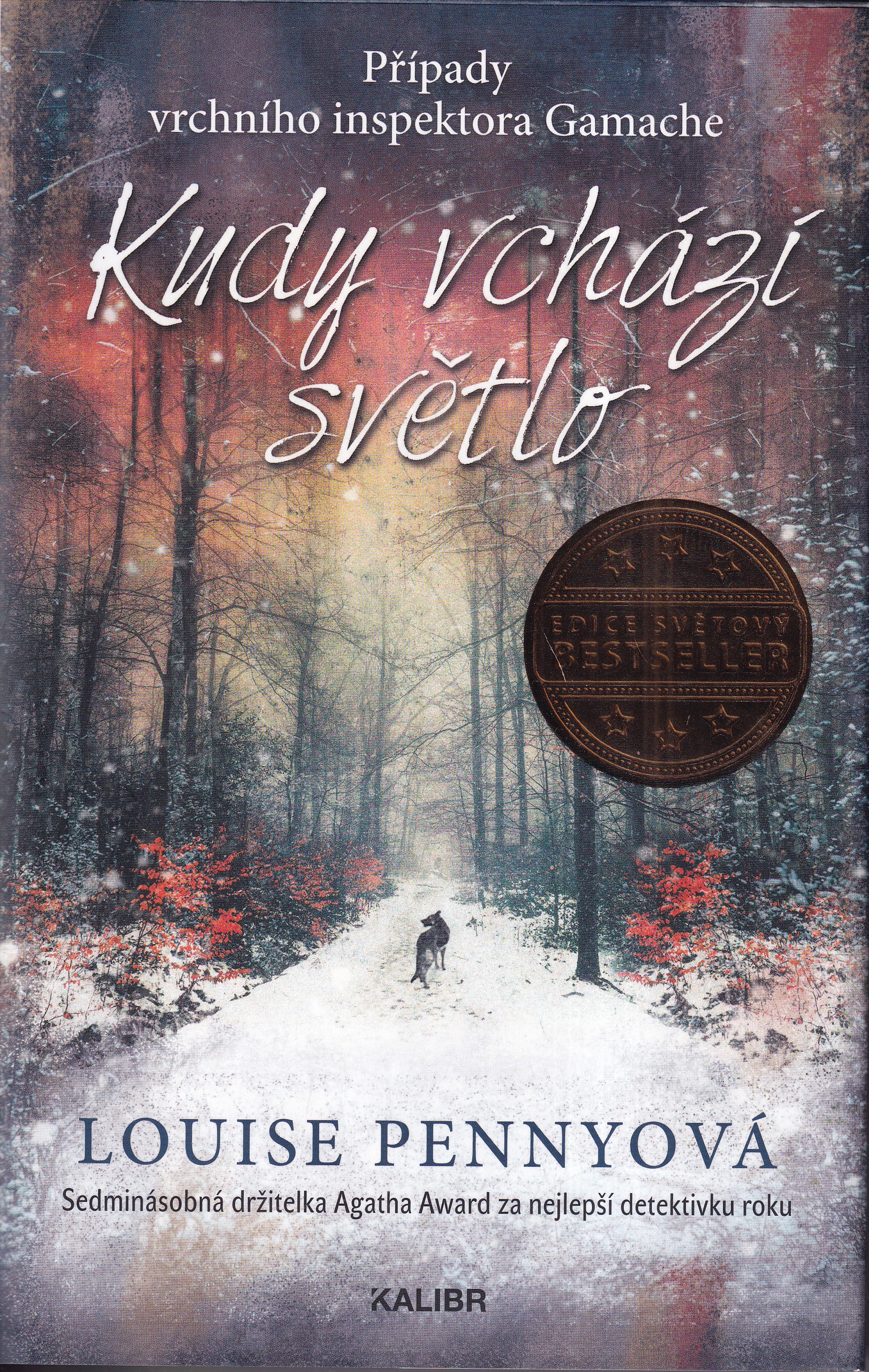 Kudy vchází světlo, Louise Pennyová