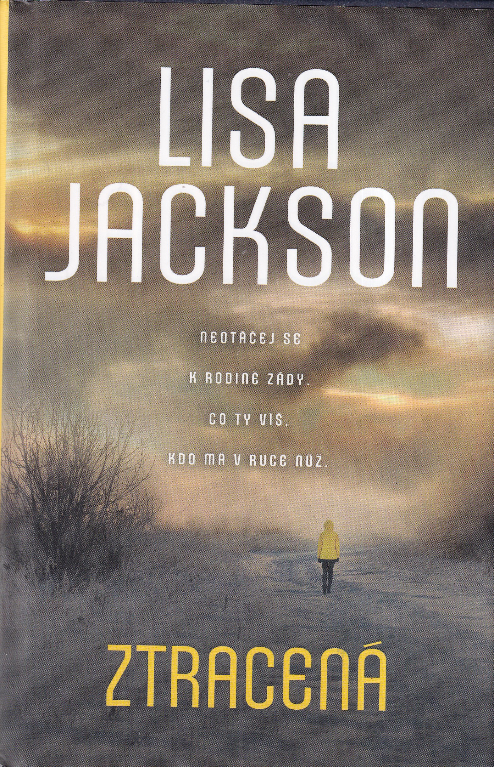 Ztracená, Lisa Jackson