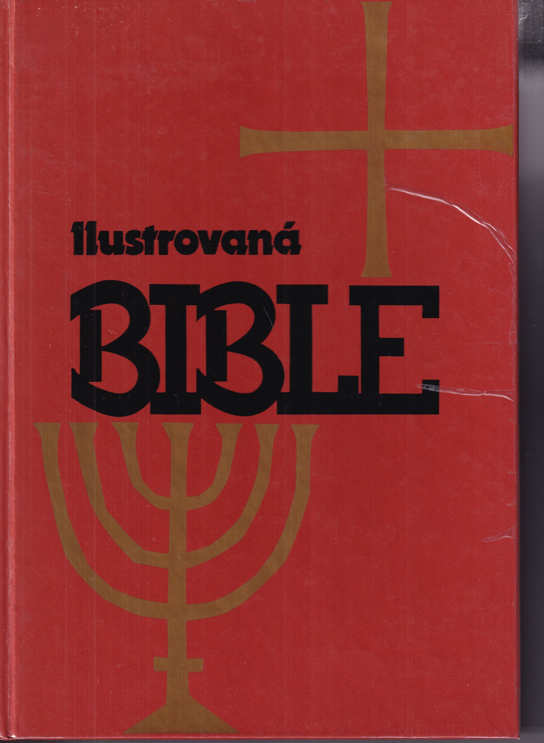 Ilustrovaná bible pro mládež