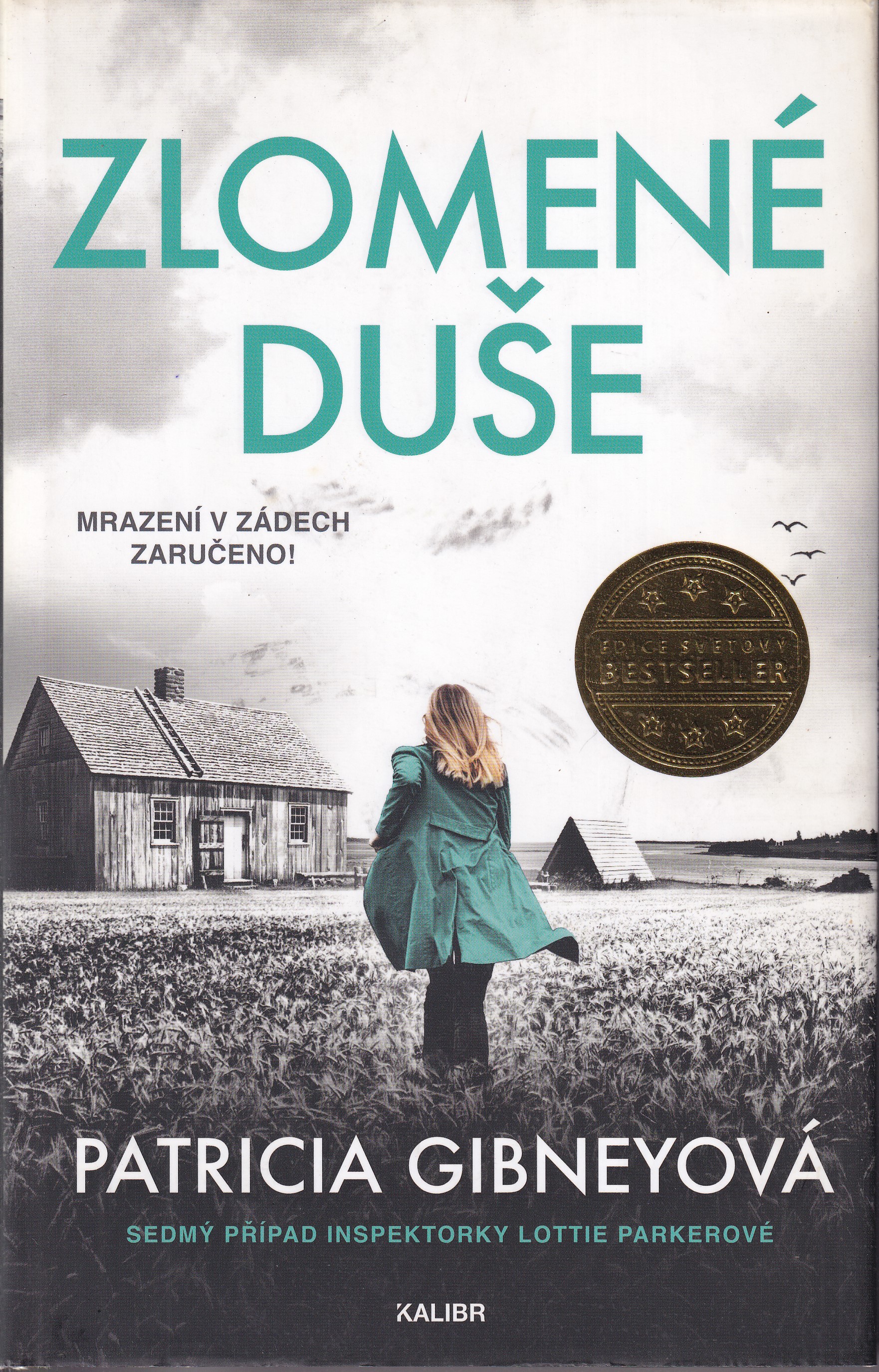 Zlomené duše, Patricia Gibneyová