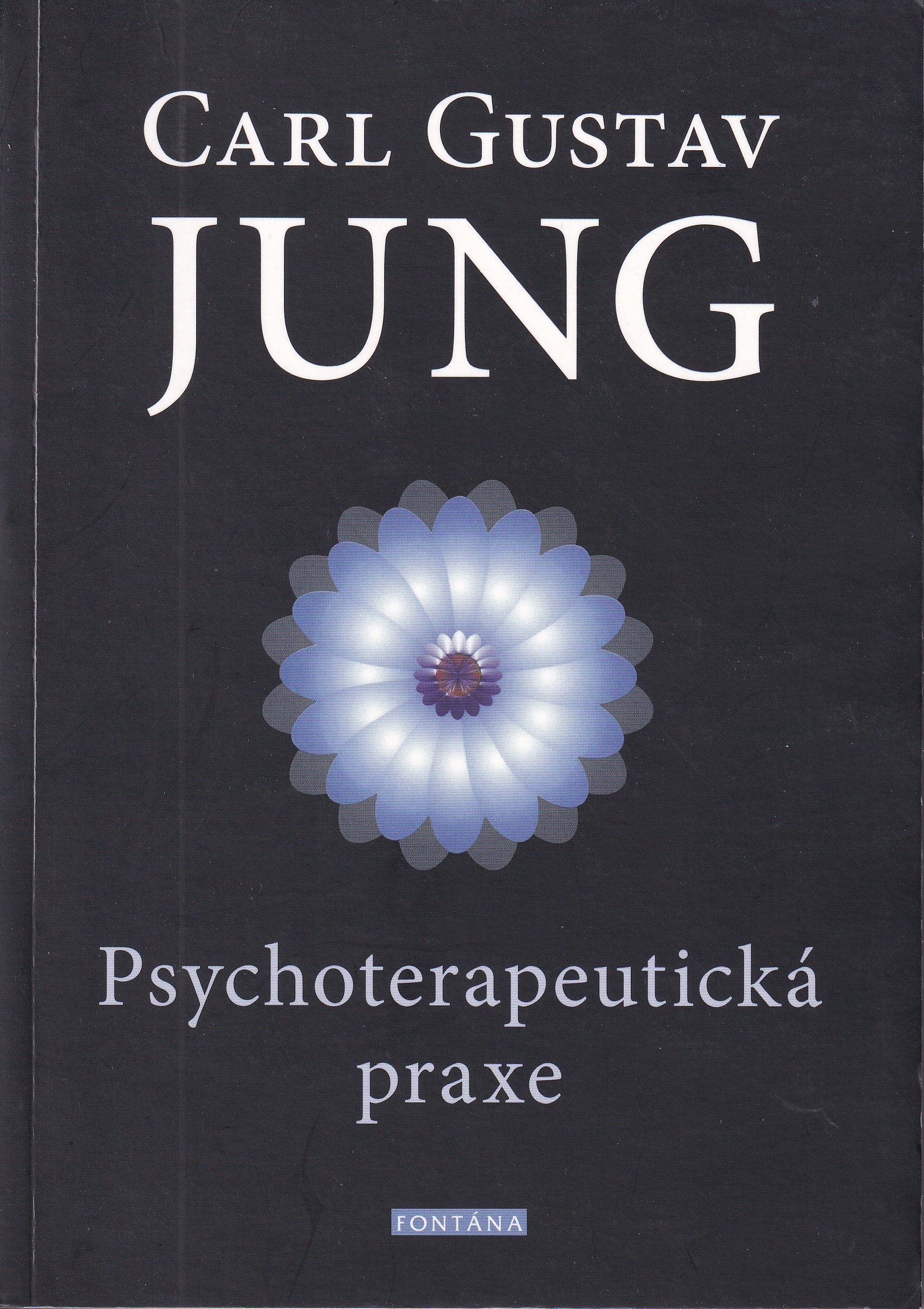 Psychoterapeutická praxe : příspěvky k problému psychoterapie a psychologie přenosu C.G. Jung