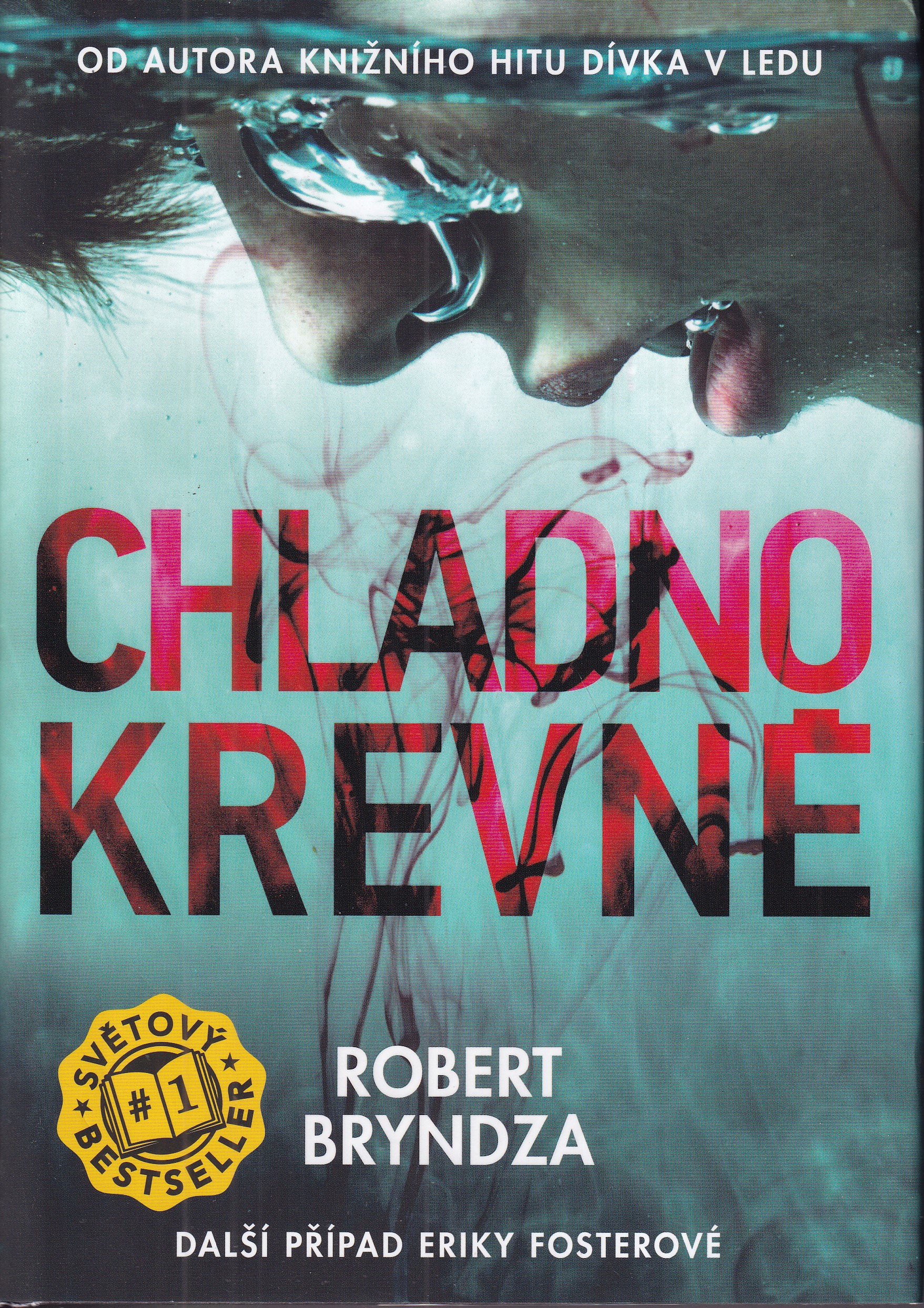 Chladnokrevně, Robert Bryndza