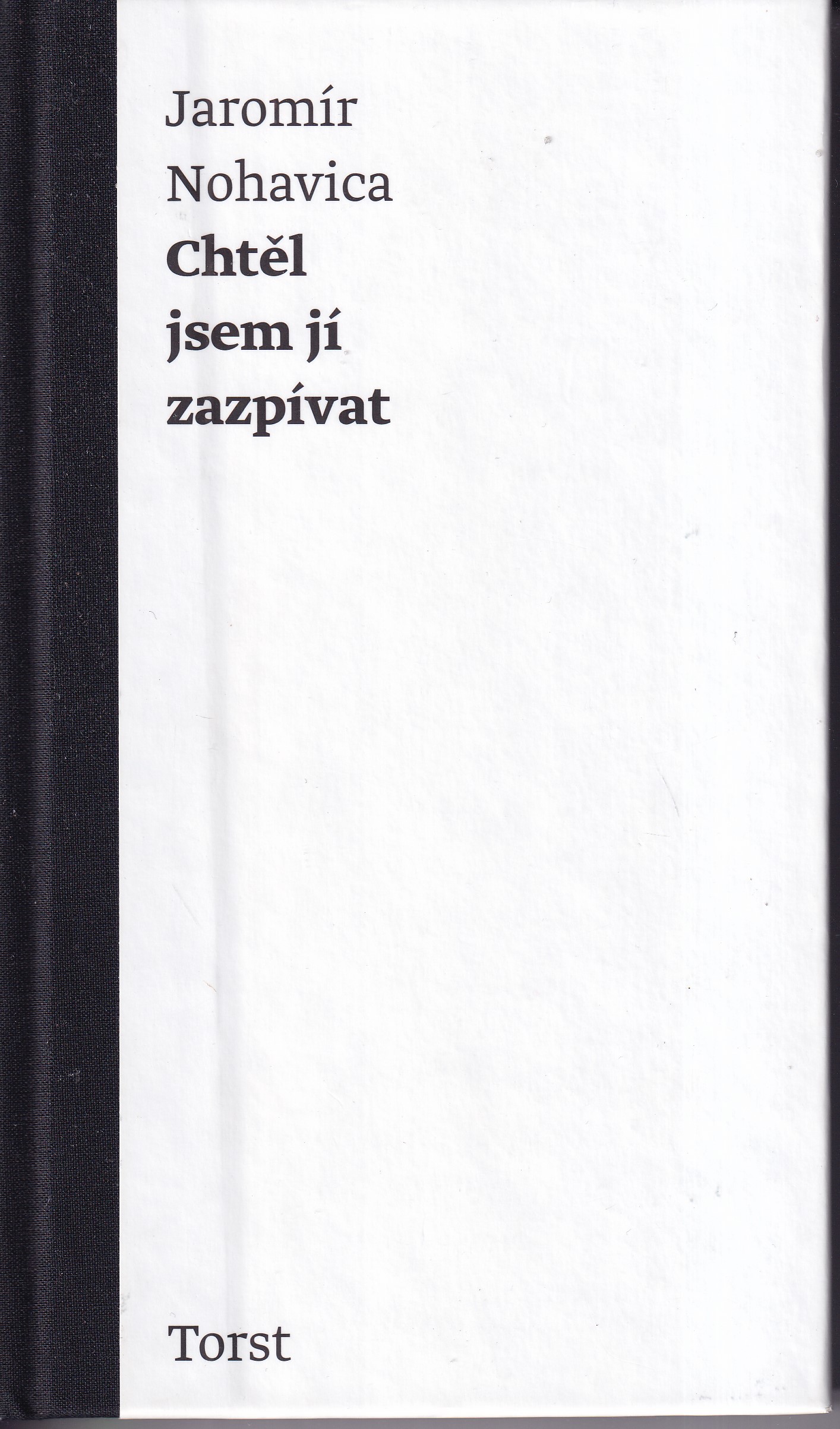 Chtěl jsem jí zazpívat