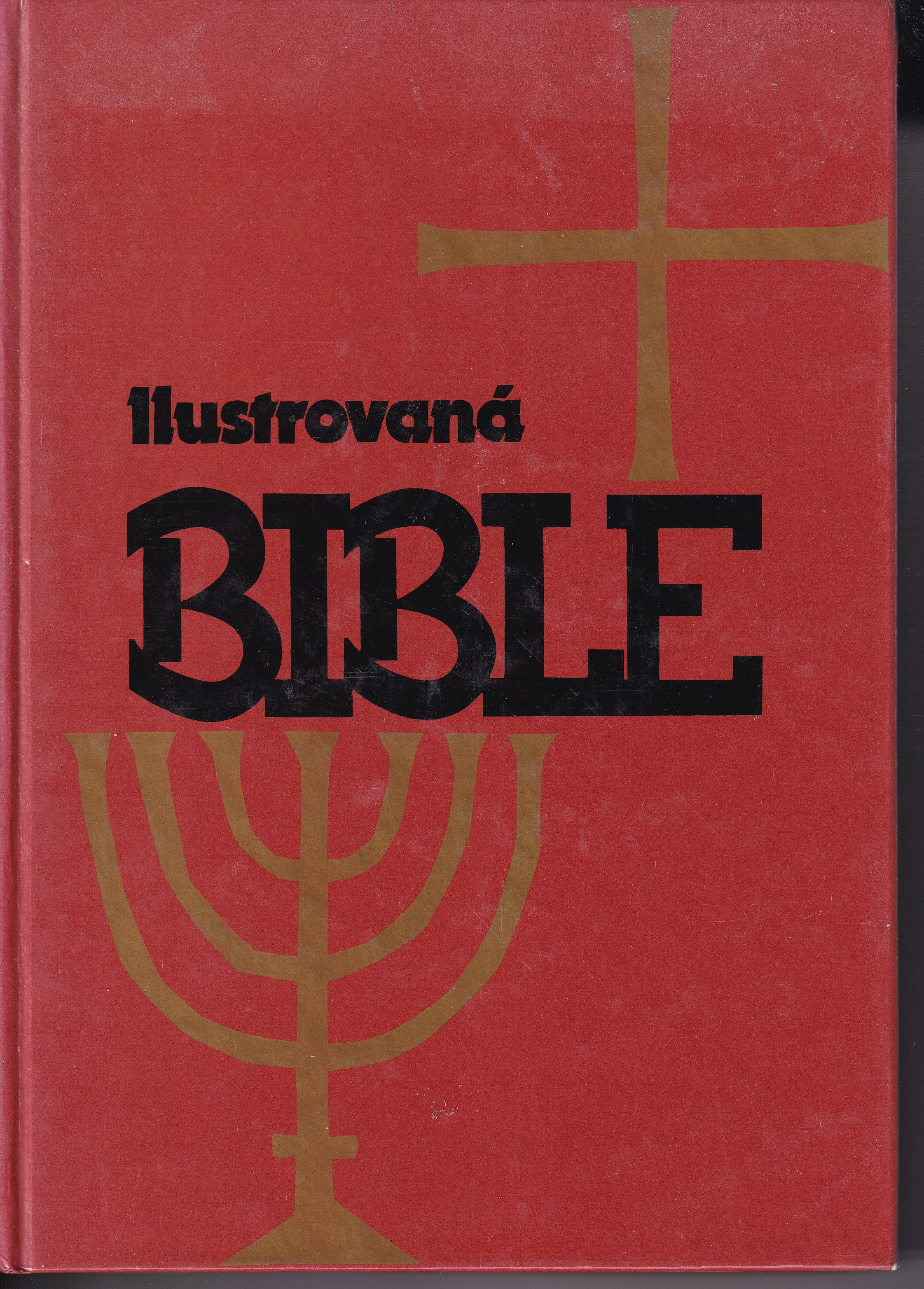 Ilustrovaná bible pro mládež