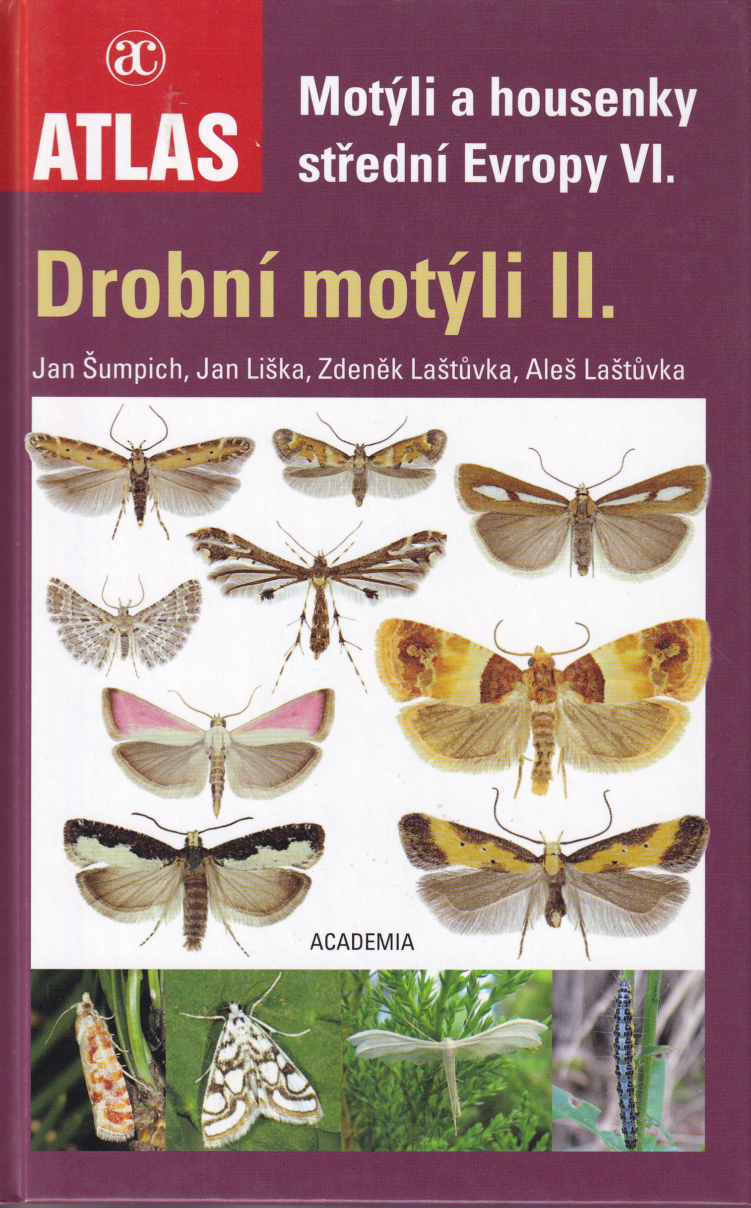 Motýli a housenky střední Evropy VI. Drobní motýli II. Jan Šumpich, Jan Liška, Zdeněk Laštůvka, Aleš Laštůvka