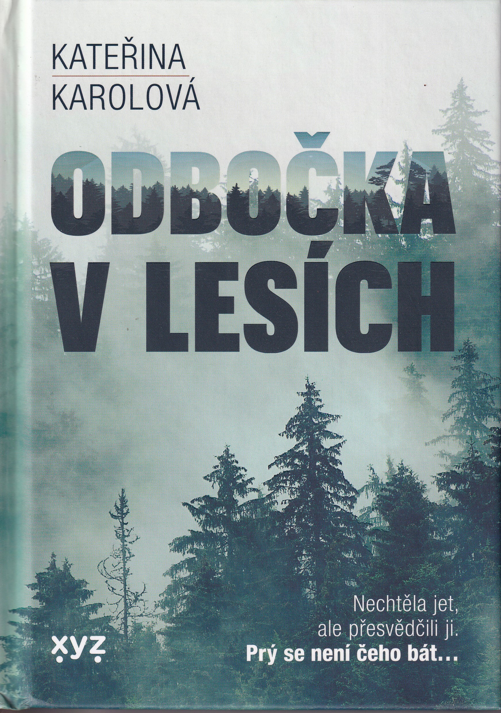 Odbočka v lesích