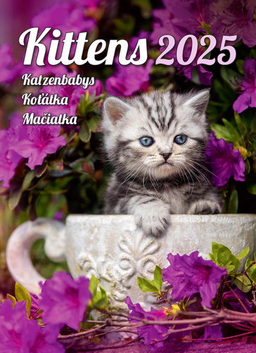 Koťátka 2025 - nástěnný kalendář