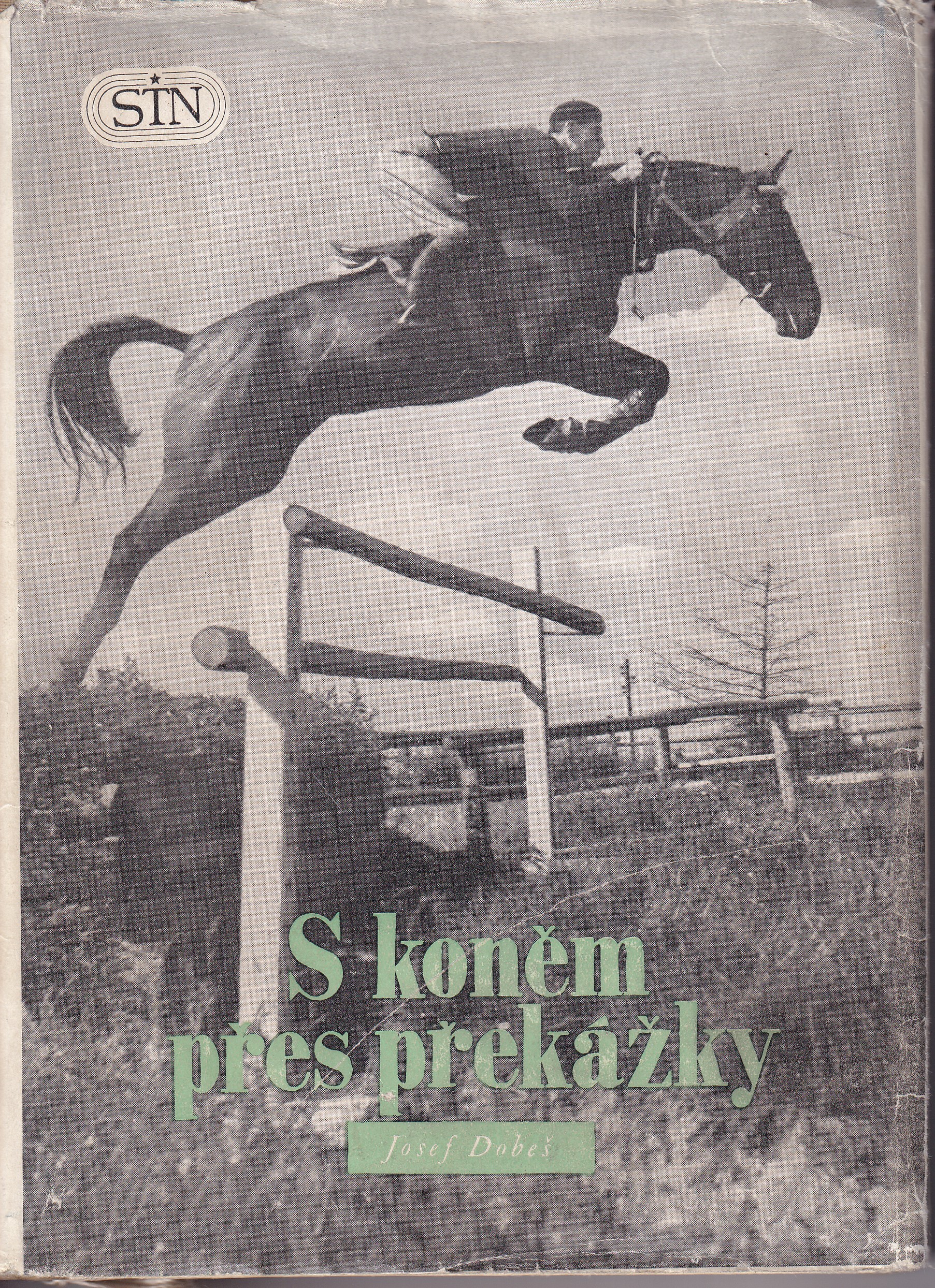 S koněm přes překážky