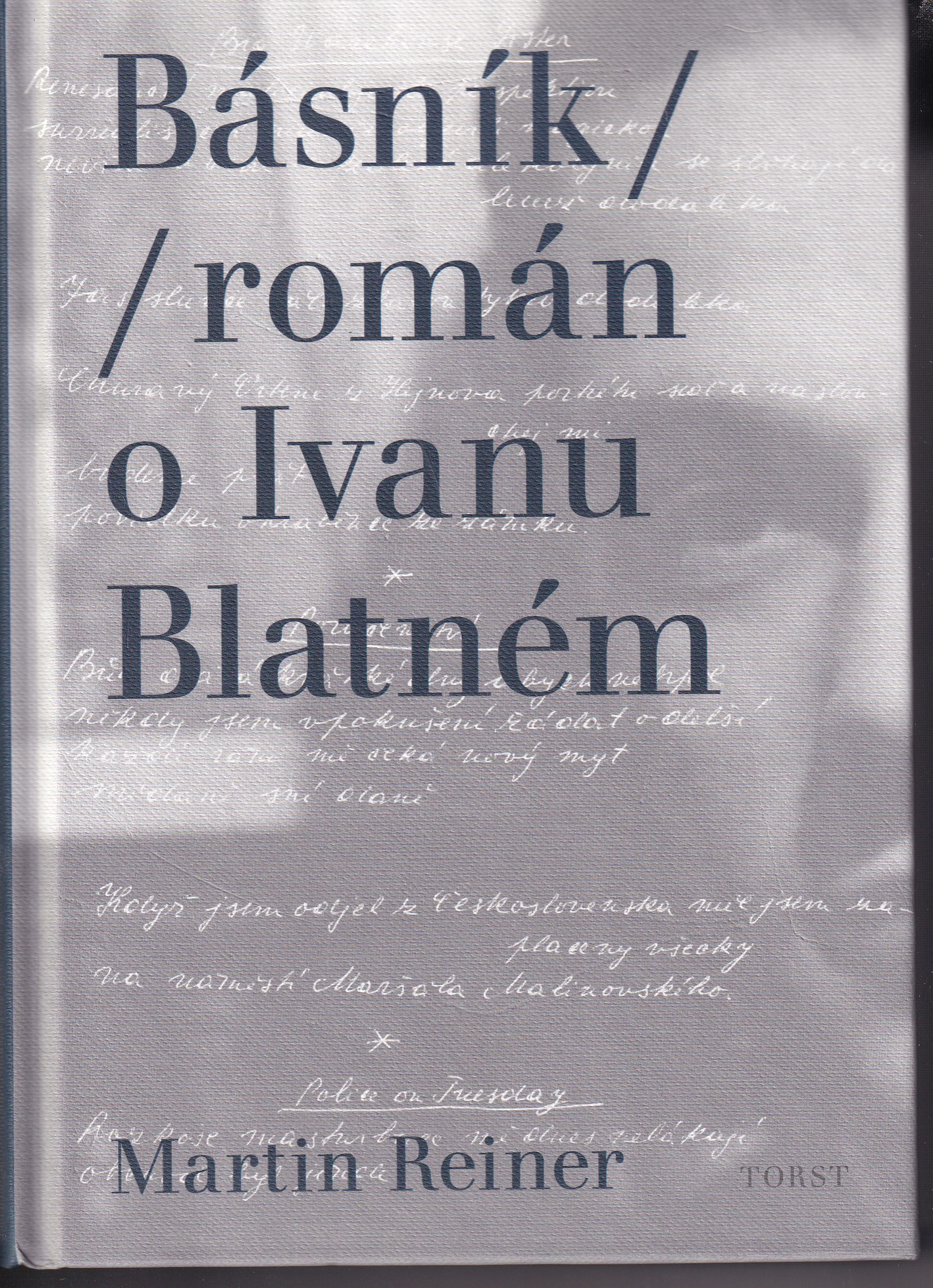 Básník : román o Ivanu Blatném