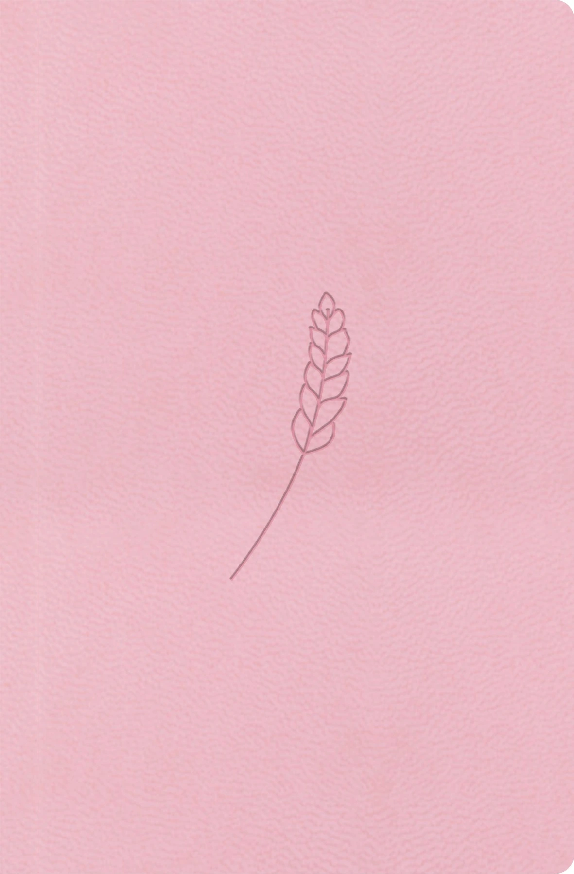 Bible21 - kapesní rosé