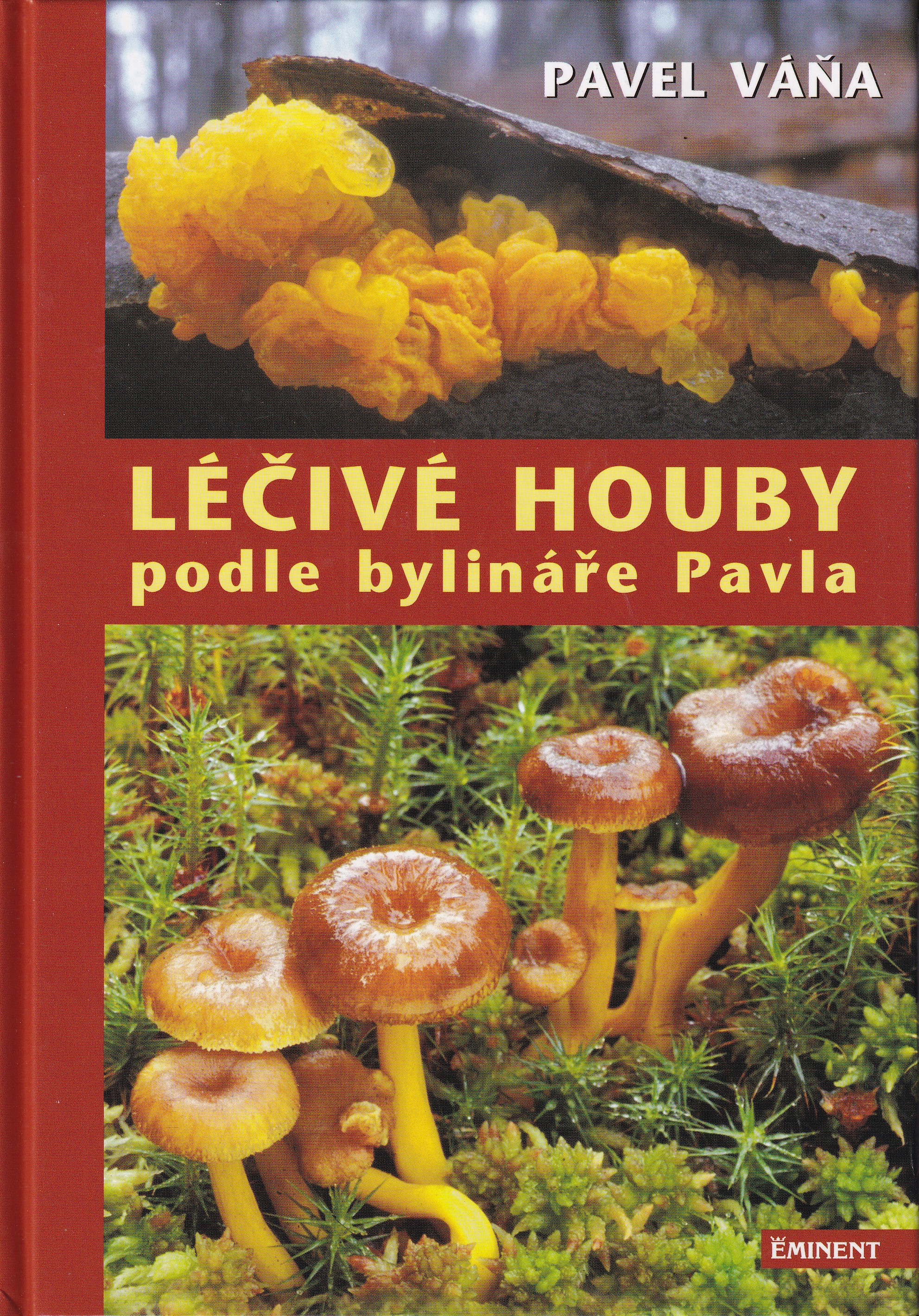 Léčivé houby podle bylináře Pavla