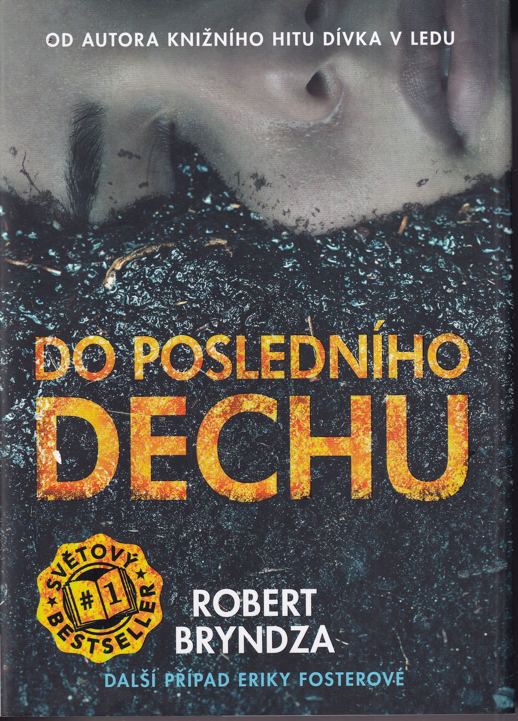 Do posledního dechu, Robert Bryndza