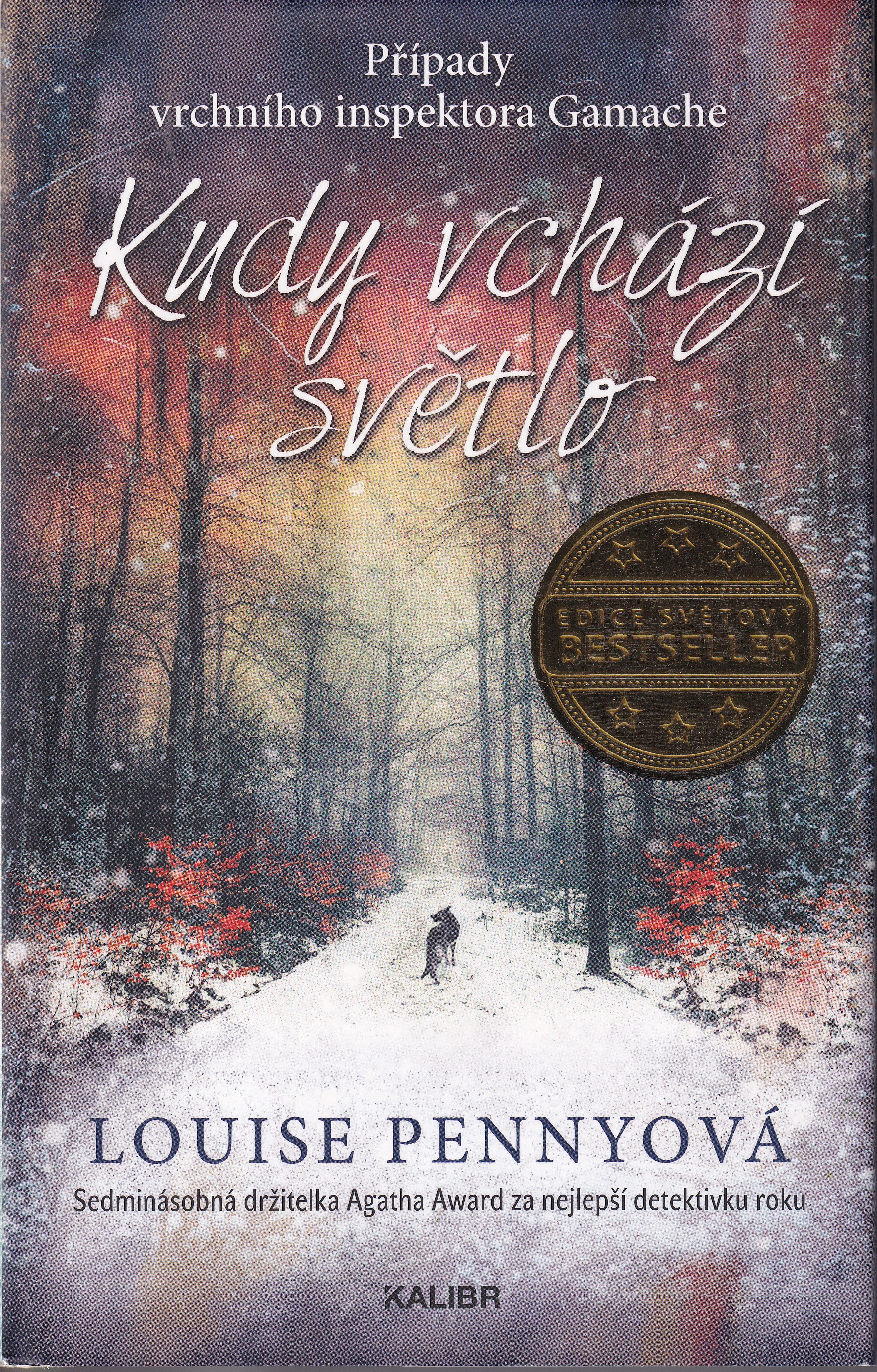 Kudy vchází světlo, Louise Pennyová