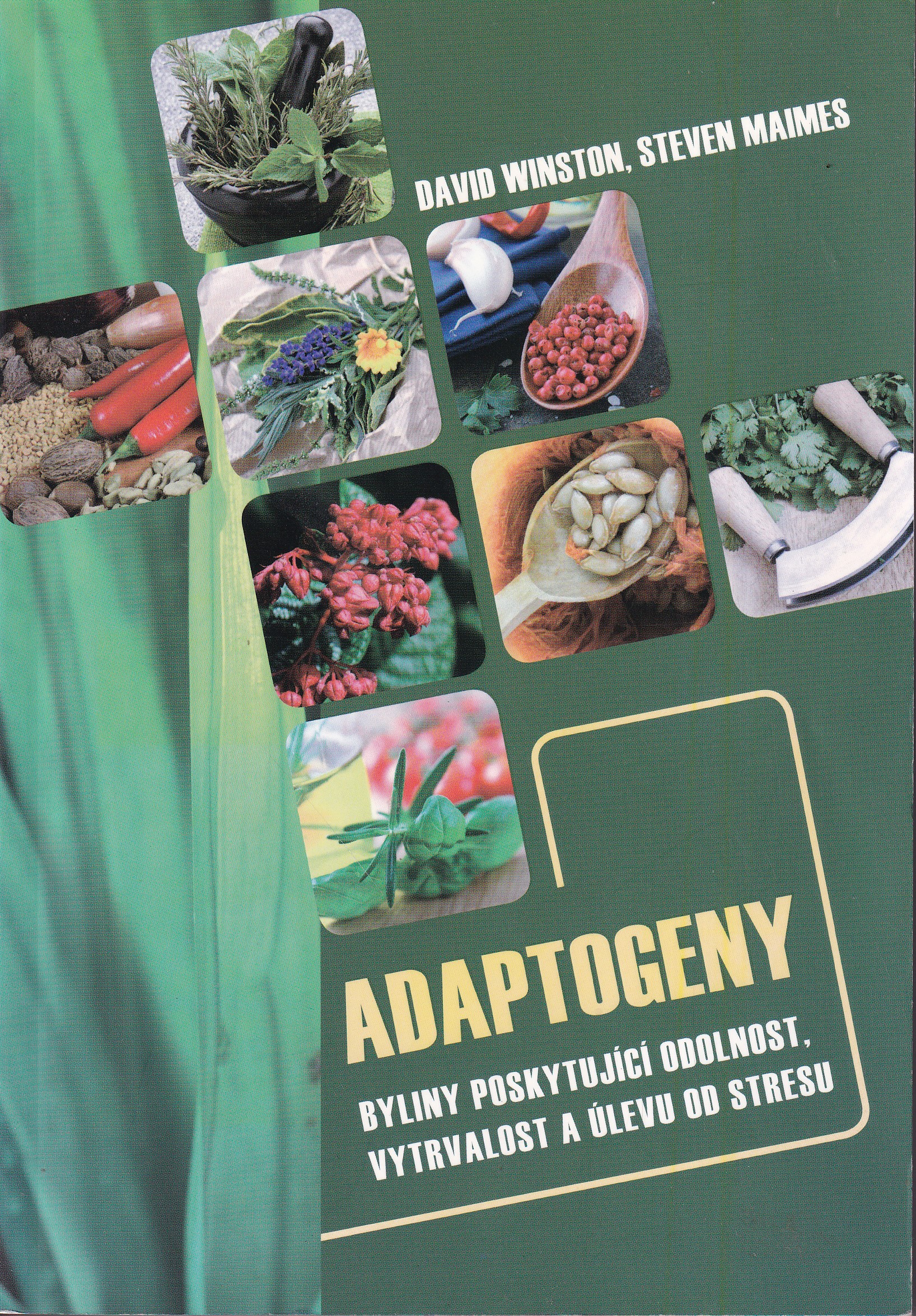 Adaptogeny : byliny poskytující odolnost, vytrvalost a úlevu od stresu