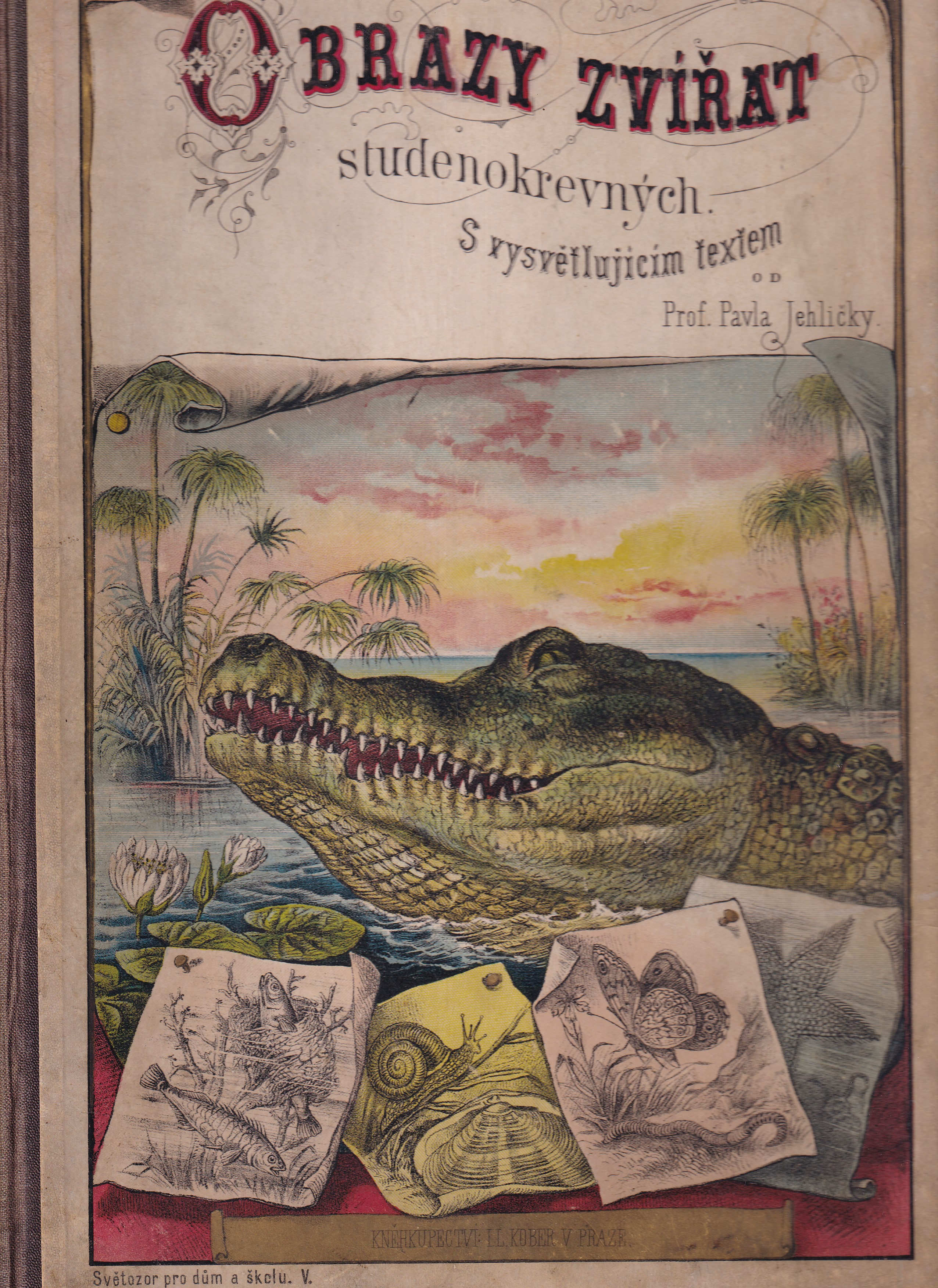 Názorný přírodopis živočichů studenokrevných