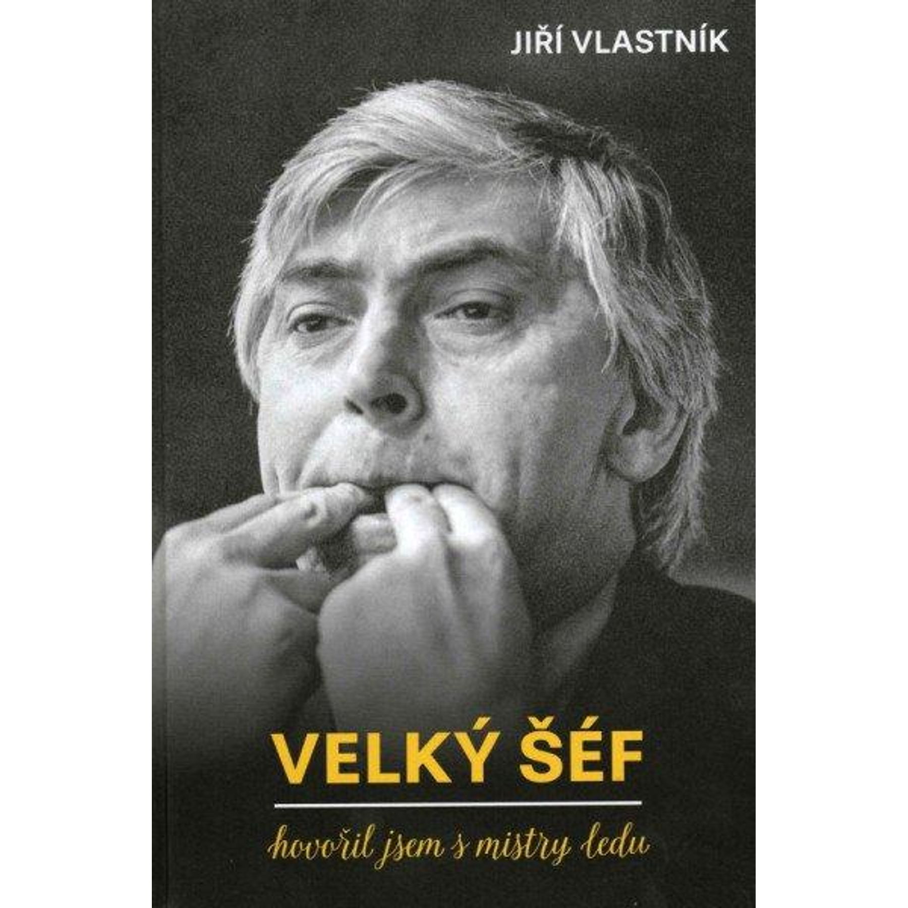 Velký šéf - Hovořil jsem s mistry ledu