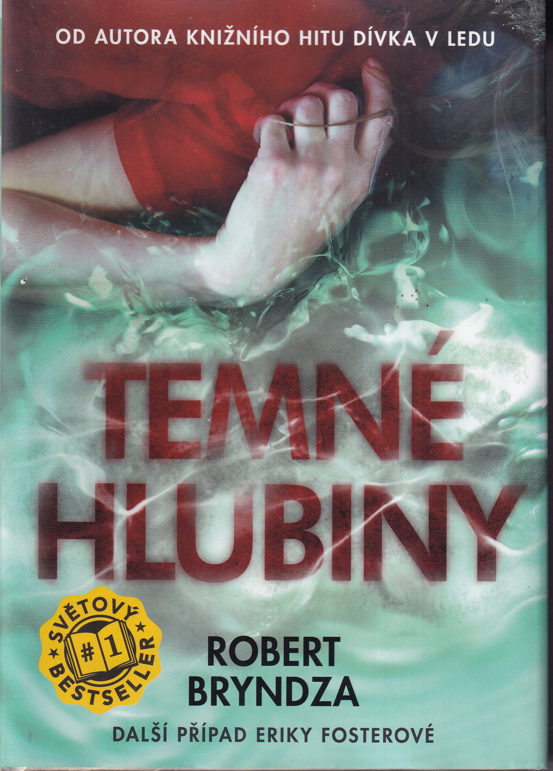Temné hlubiny, Robert Bryndza