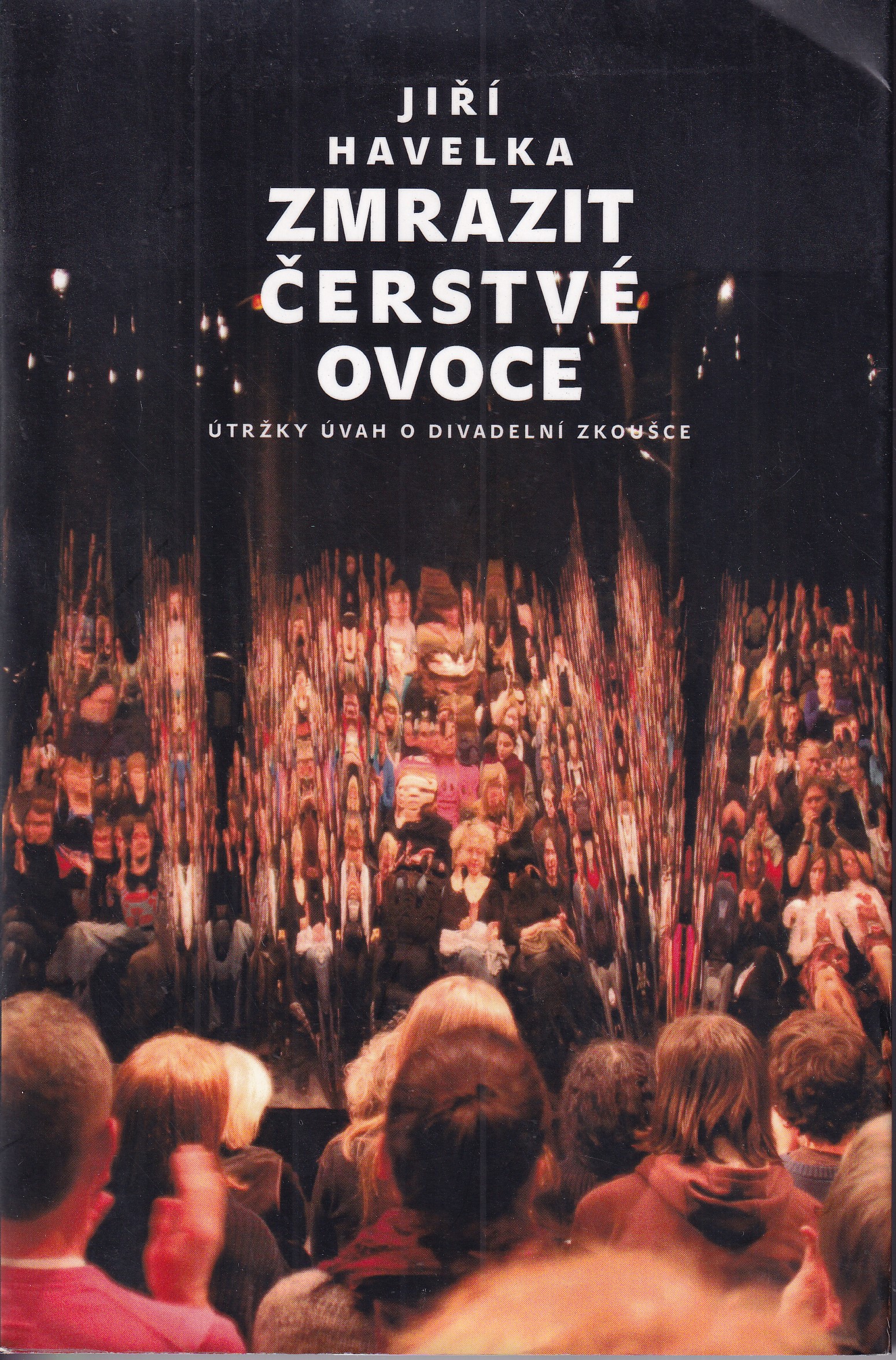 Zmrazit čerstvé ovoce : útržky úvah o divadelní zkoušce