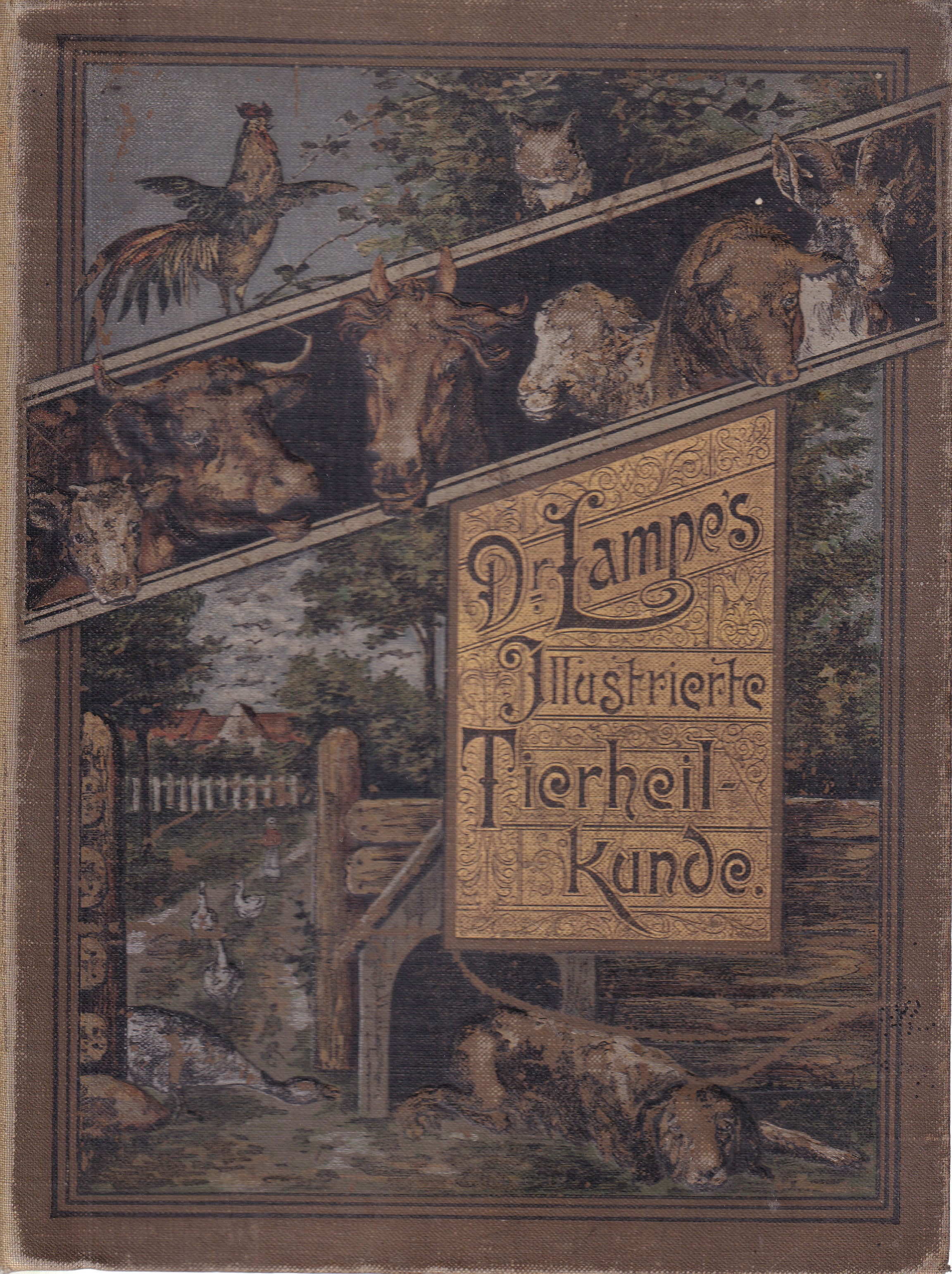 Dr. Lampe's Illustrierte Tierheilkunde Populäres Handbuch der Anatomie, Gesundheitspflege, Zucht, Geburtshilfe, des Hufbeschlags