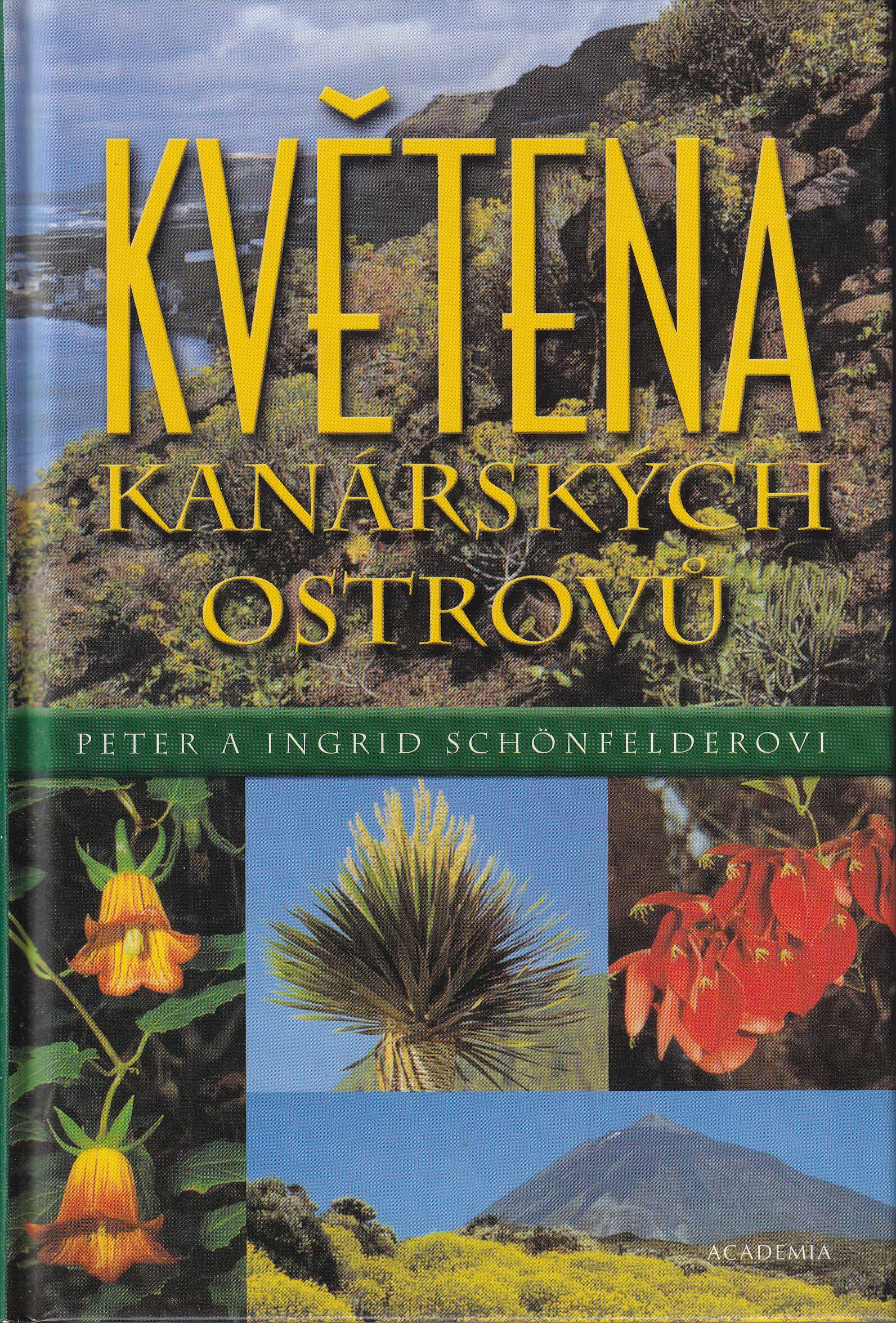 Květena Kanárských ostrovů