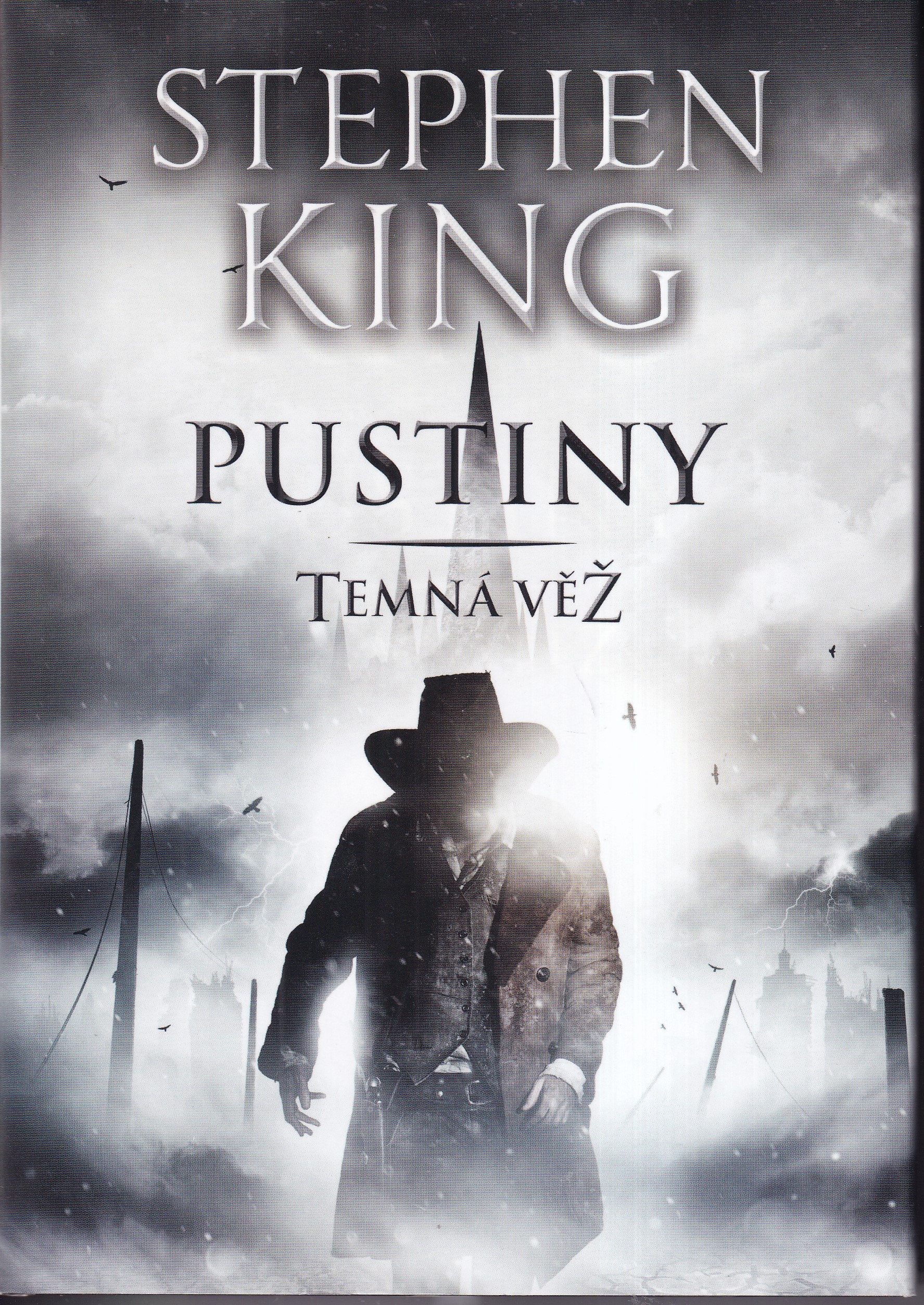 Temná věž - Pustiny