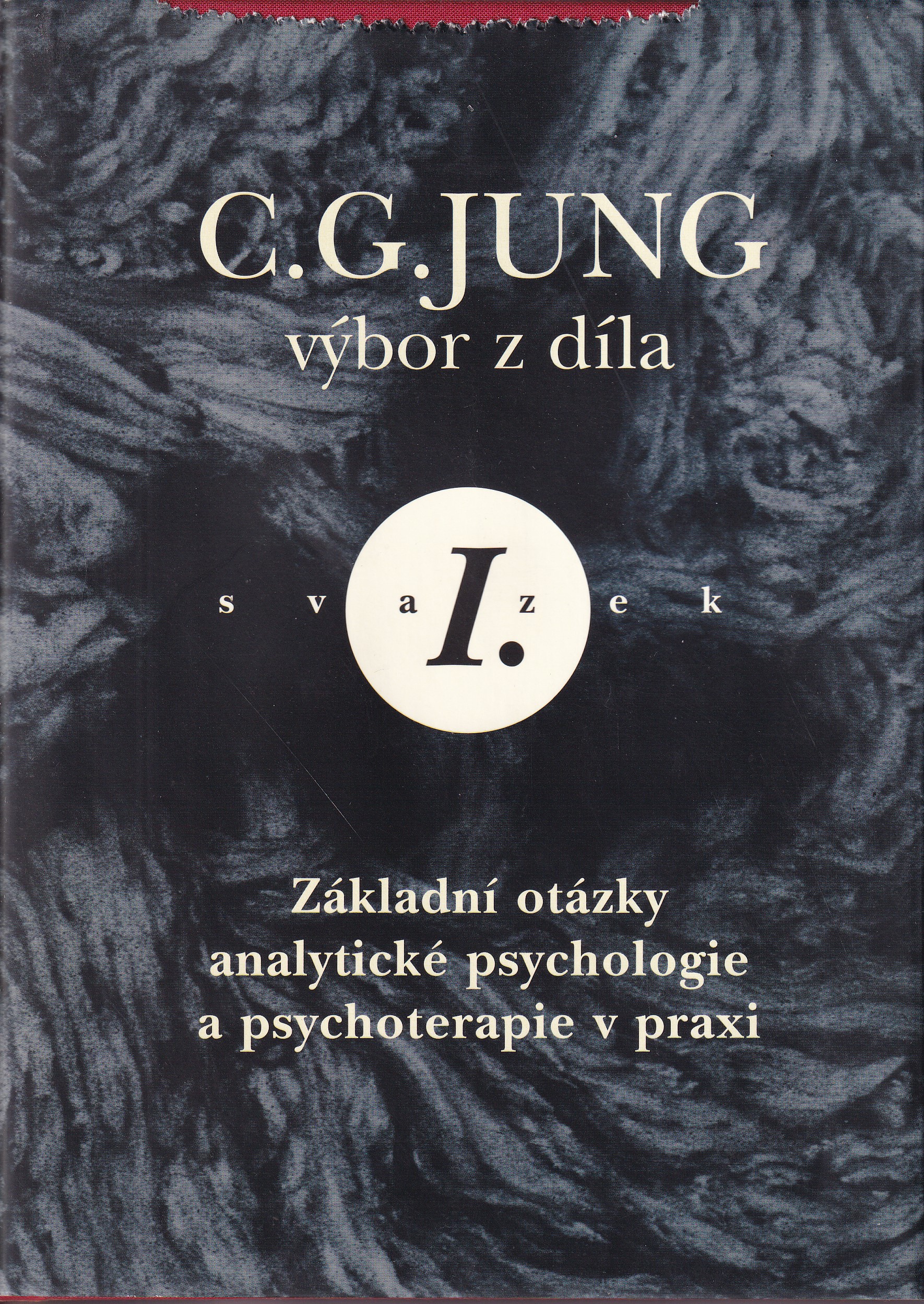 Základní otázky analytické psychologie a psychoterapie v praxi