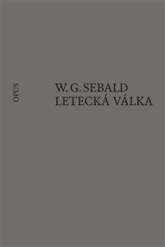 Letecká válka a literatura