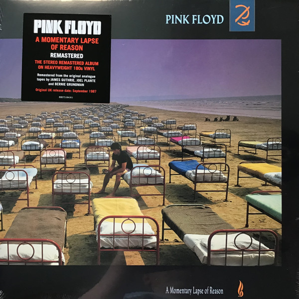 A Momentary Lapse Of Reason