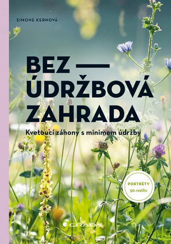 Bezúdržbová zahrada 