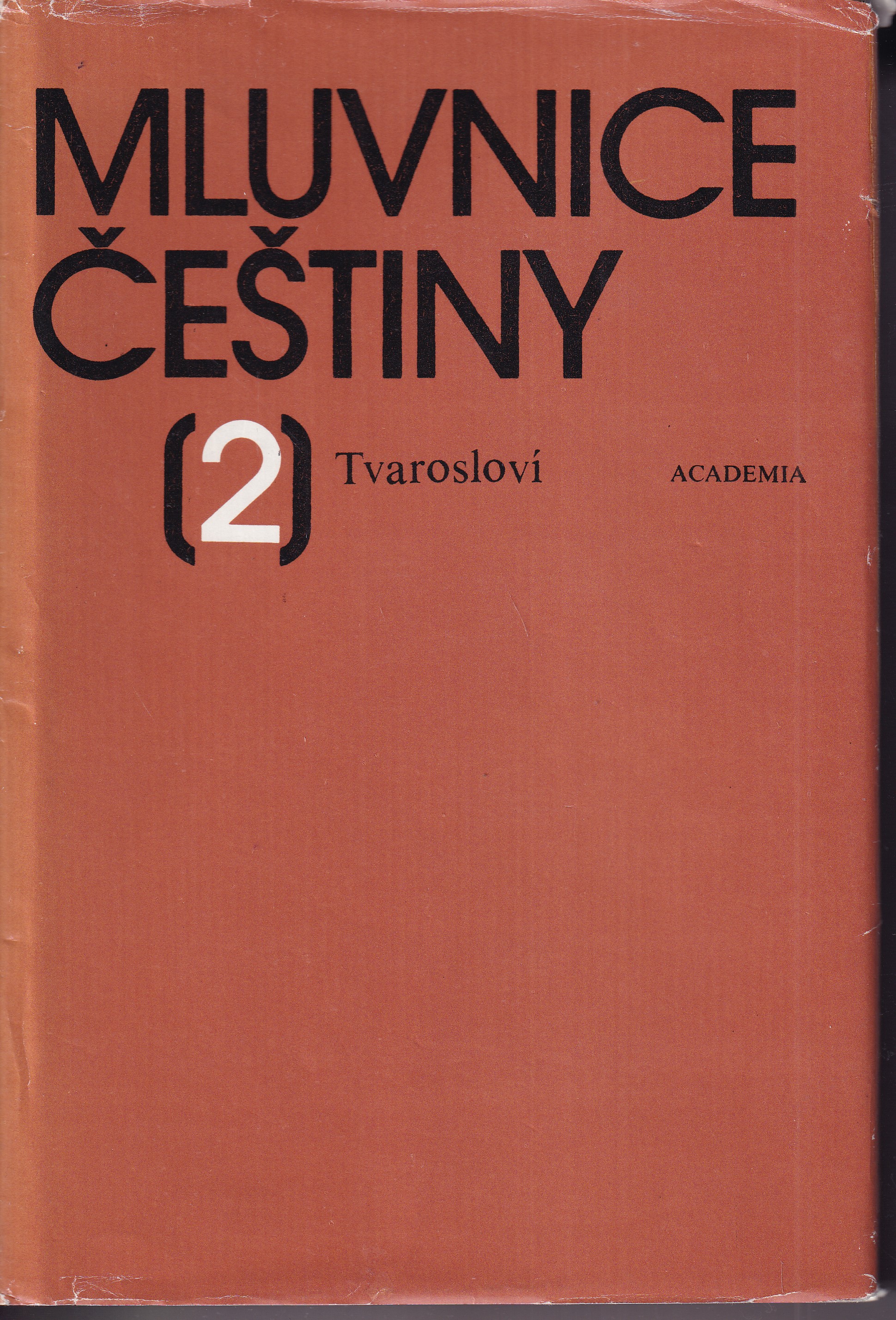 Mluvnice češtiny 2 : tvarosloví