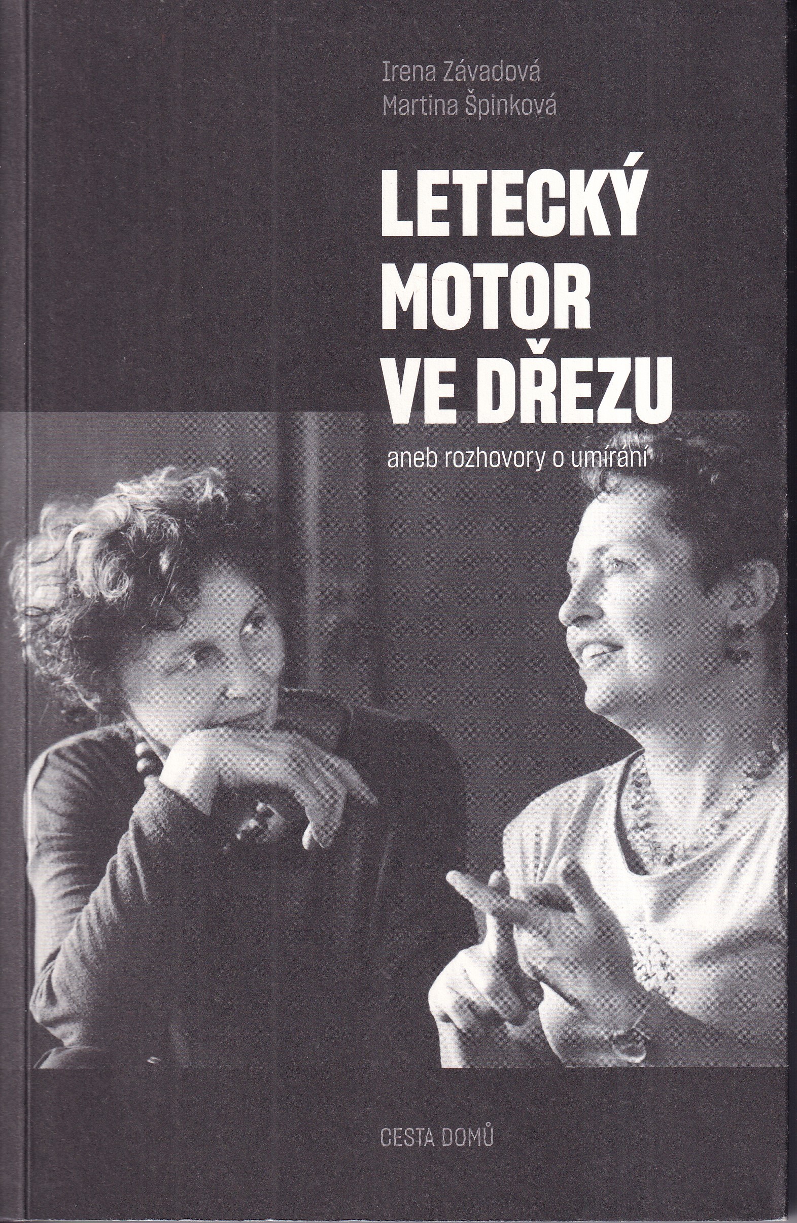 Letecký motor ve dřezu, aneb, Rozhovory o umírání