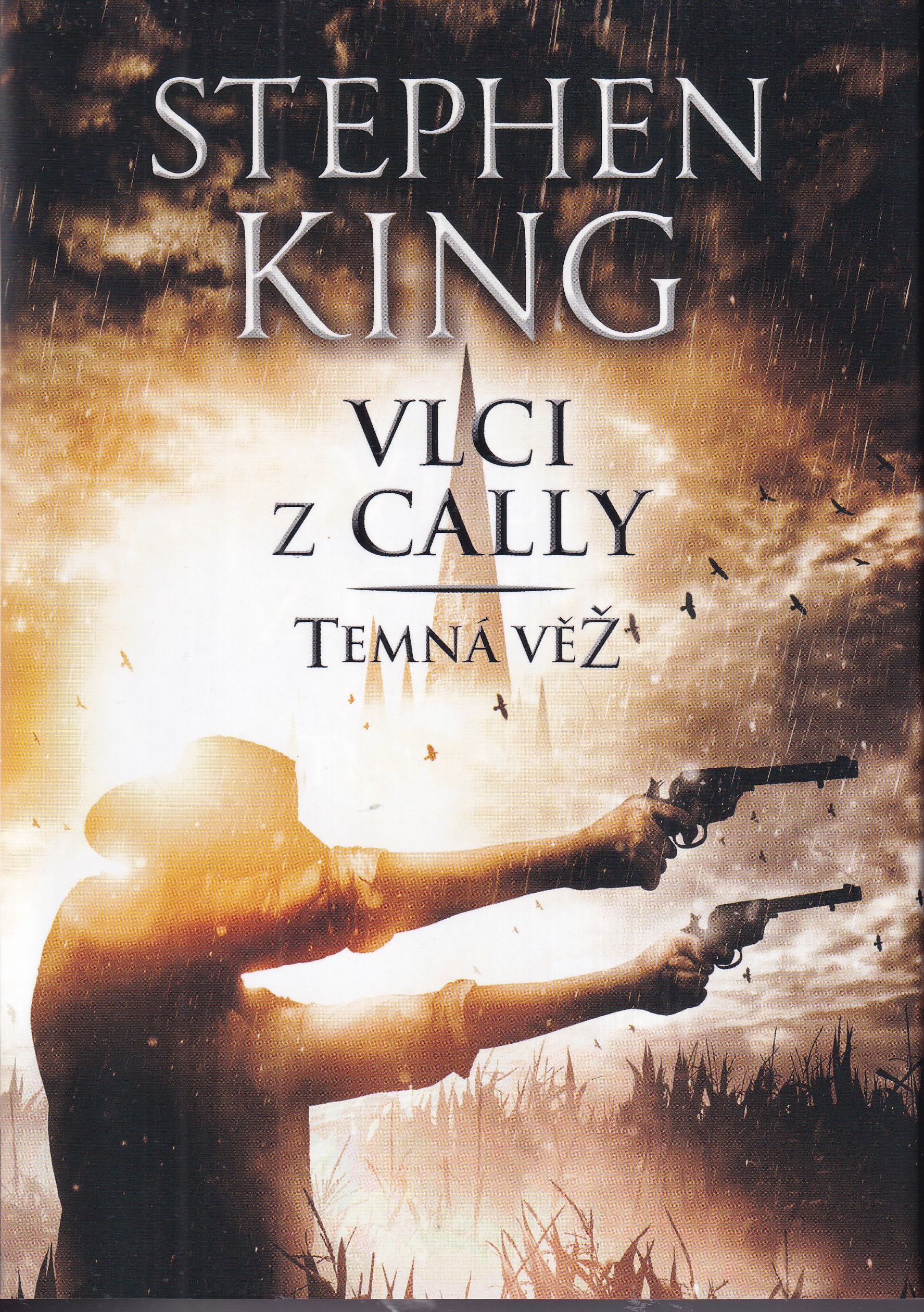Temná věž - Vlci z Cally