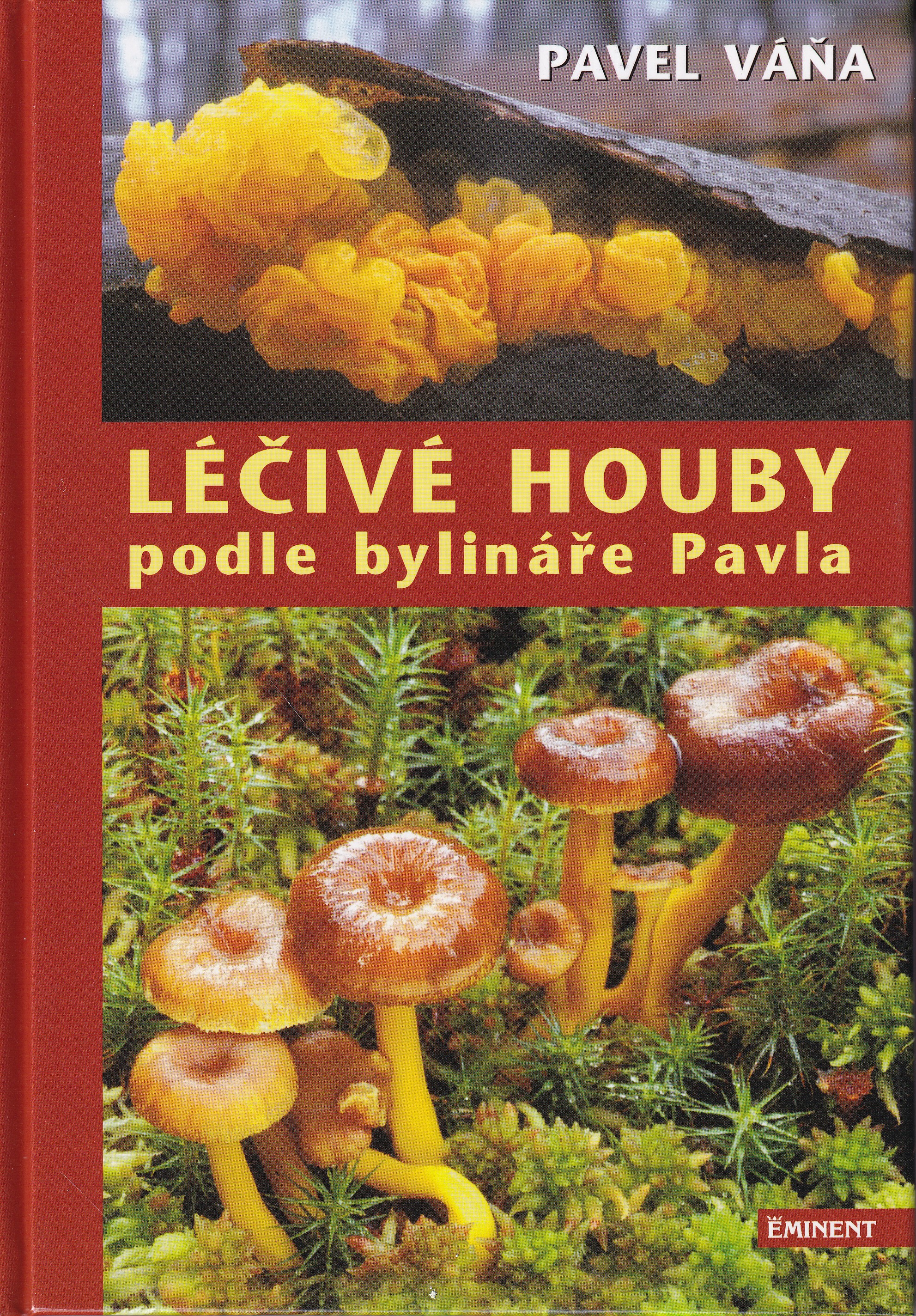 Léčivé houby podle bylináře Pavla