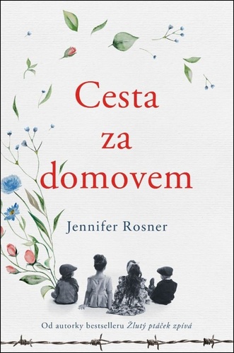 Cesta za domovem