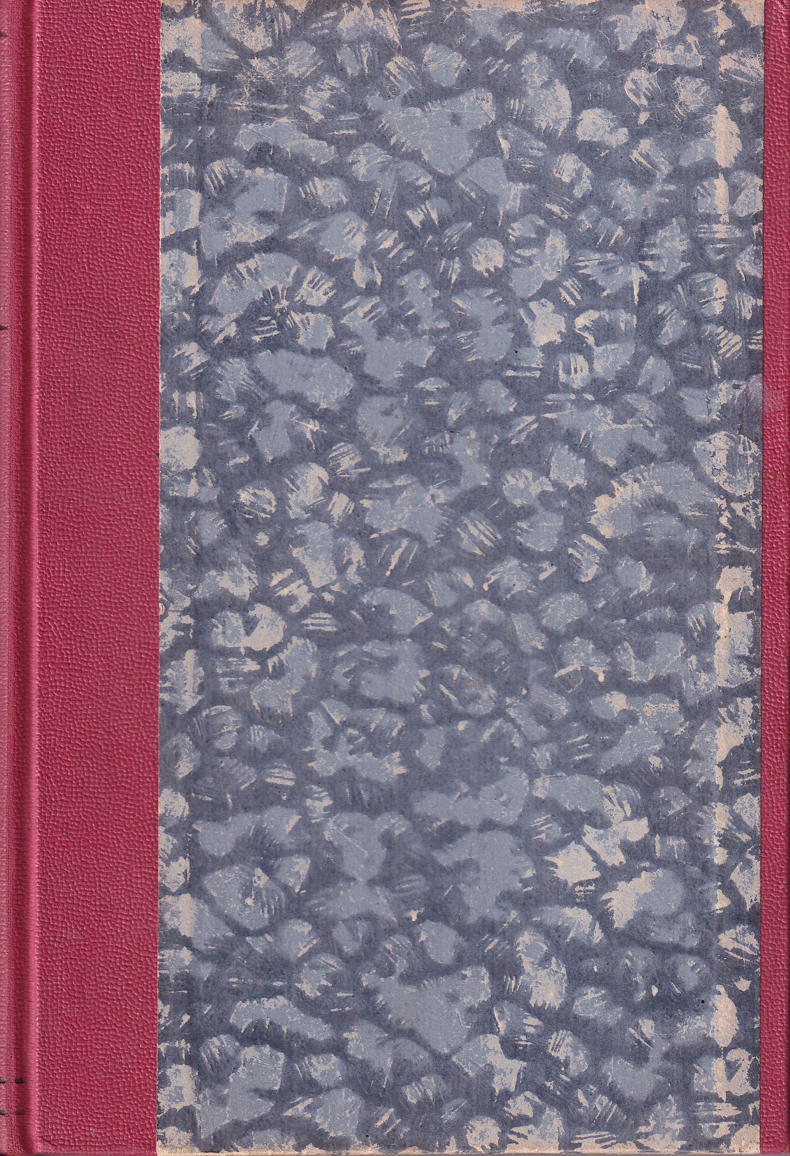 Ohnivý samum : Román z Tunisu / Il. Z. Burian