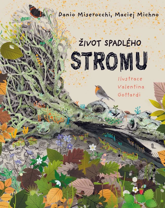 Život spadlého stromu