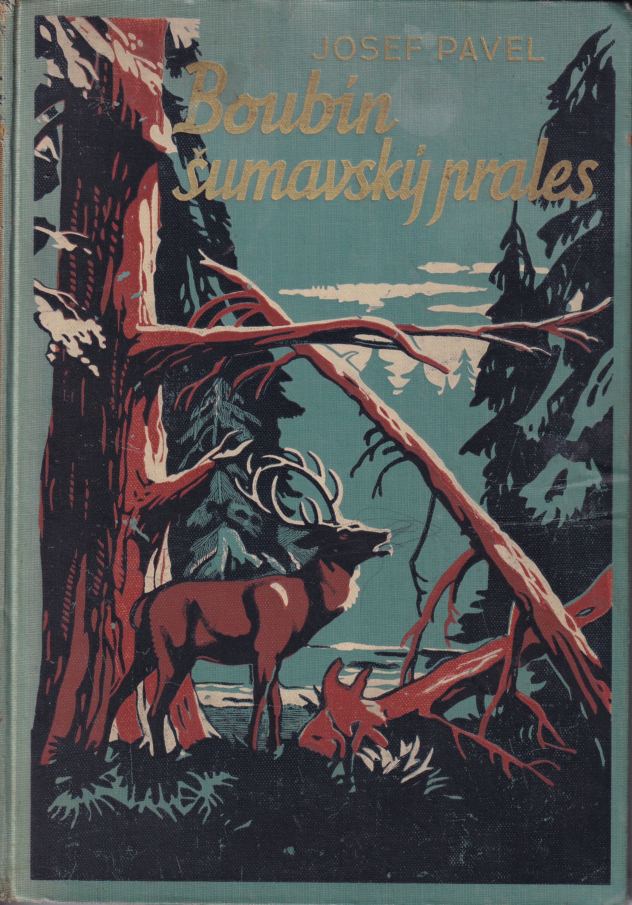 Boubín, šumavský prales