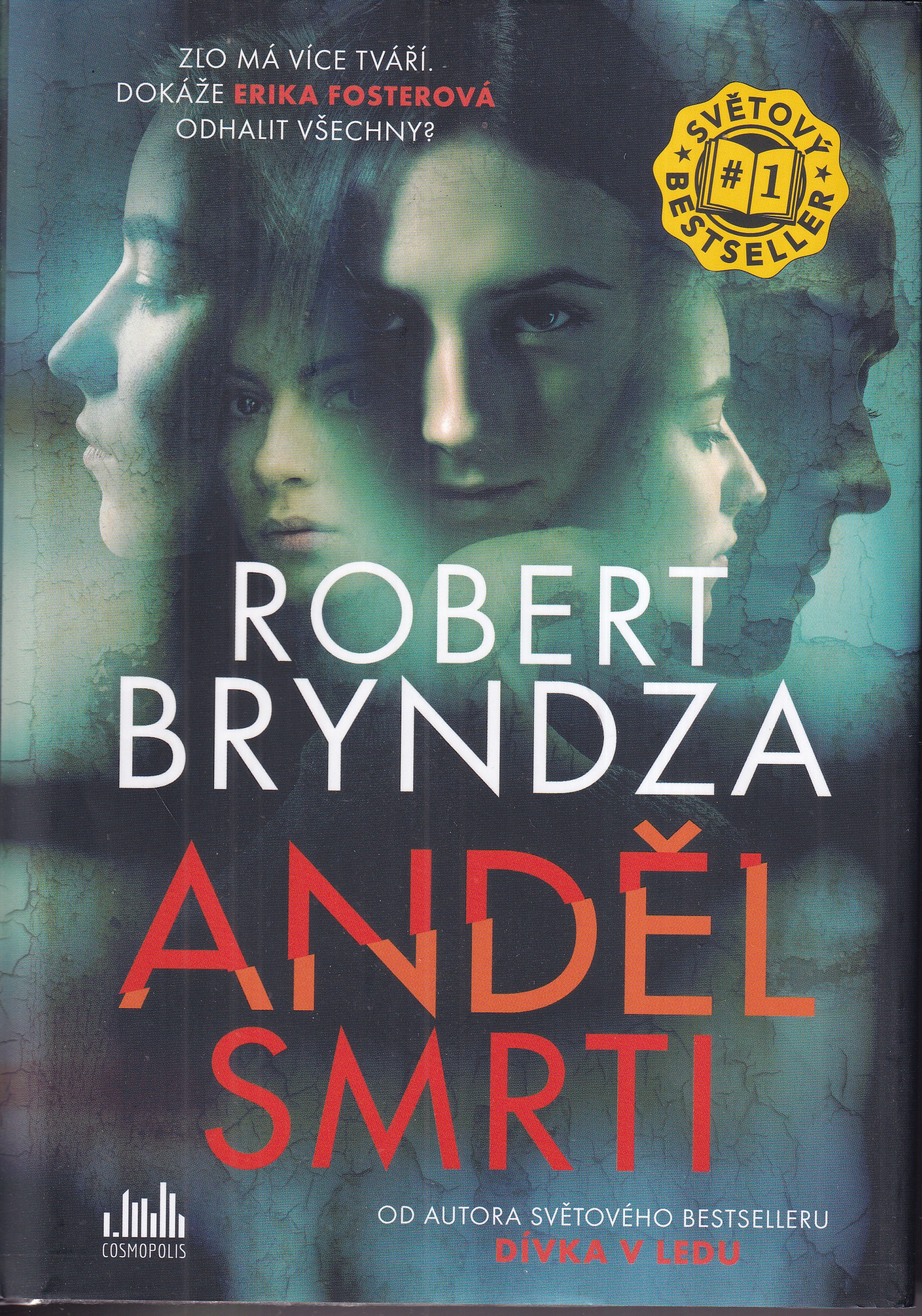 Anděl smrti, Robert Bryndza