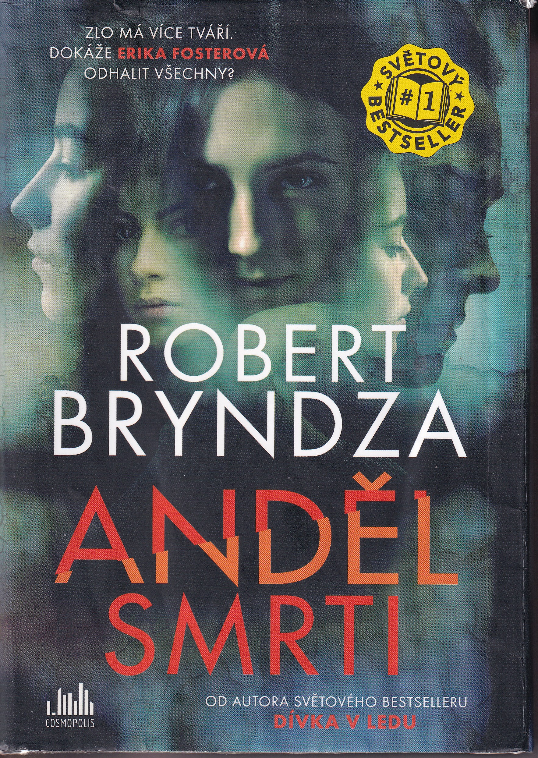 Anděl smrti, Robert Bryndza