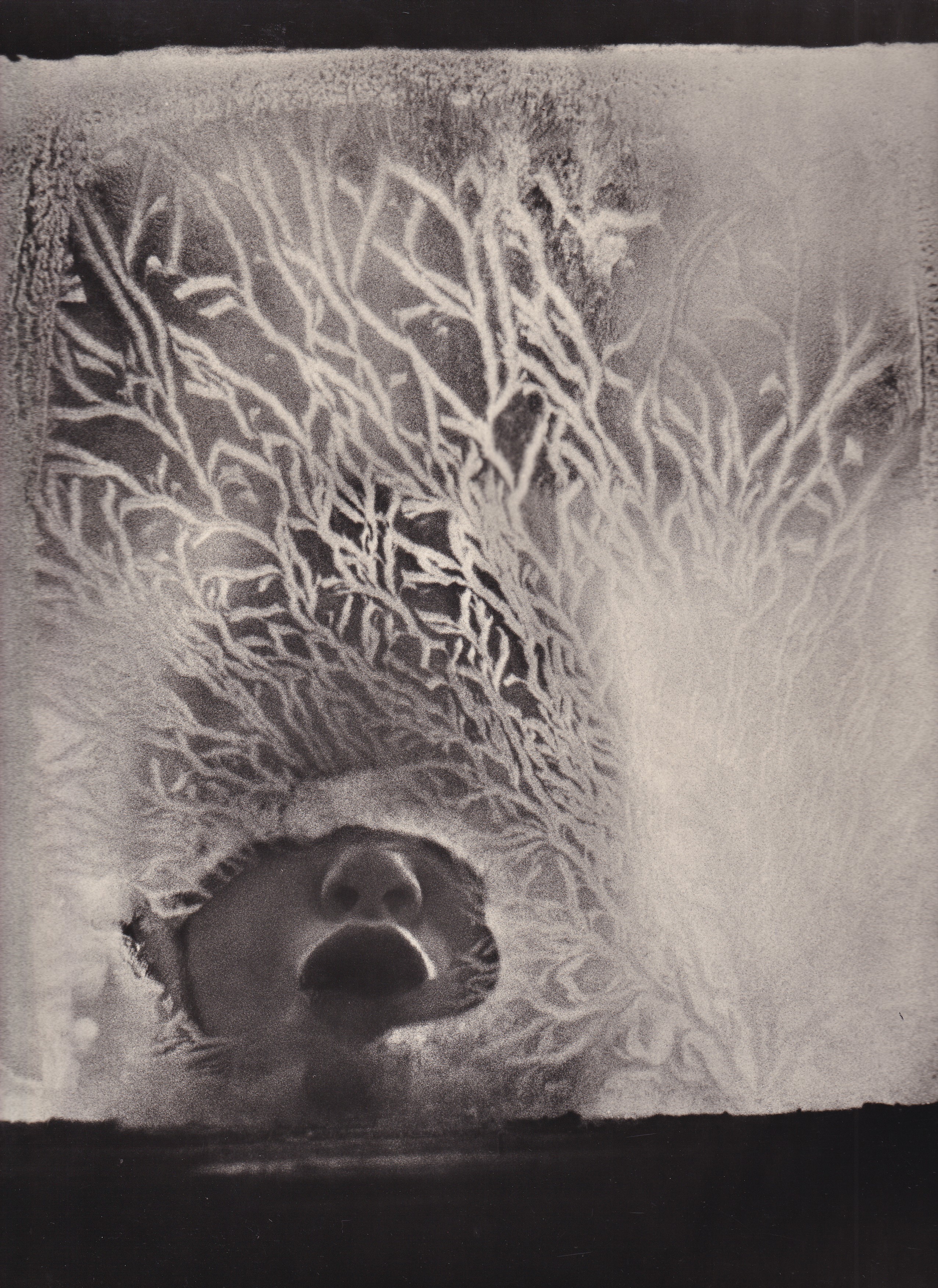 Jan Lukas Leden - Fotografie