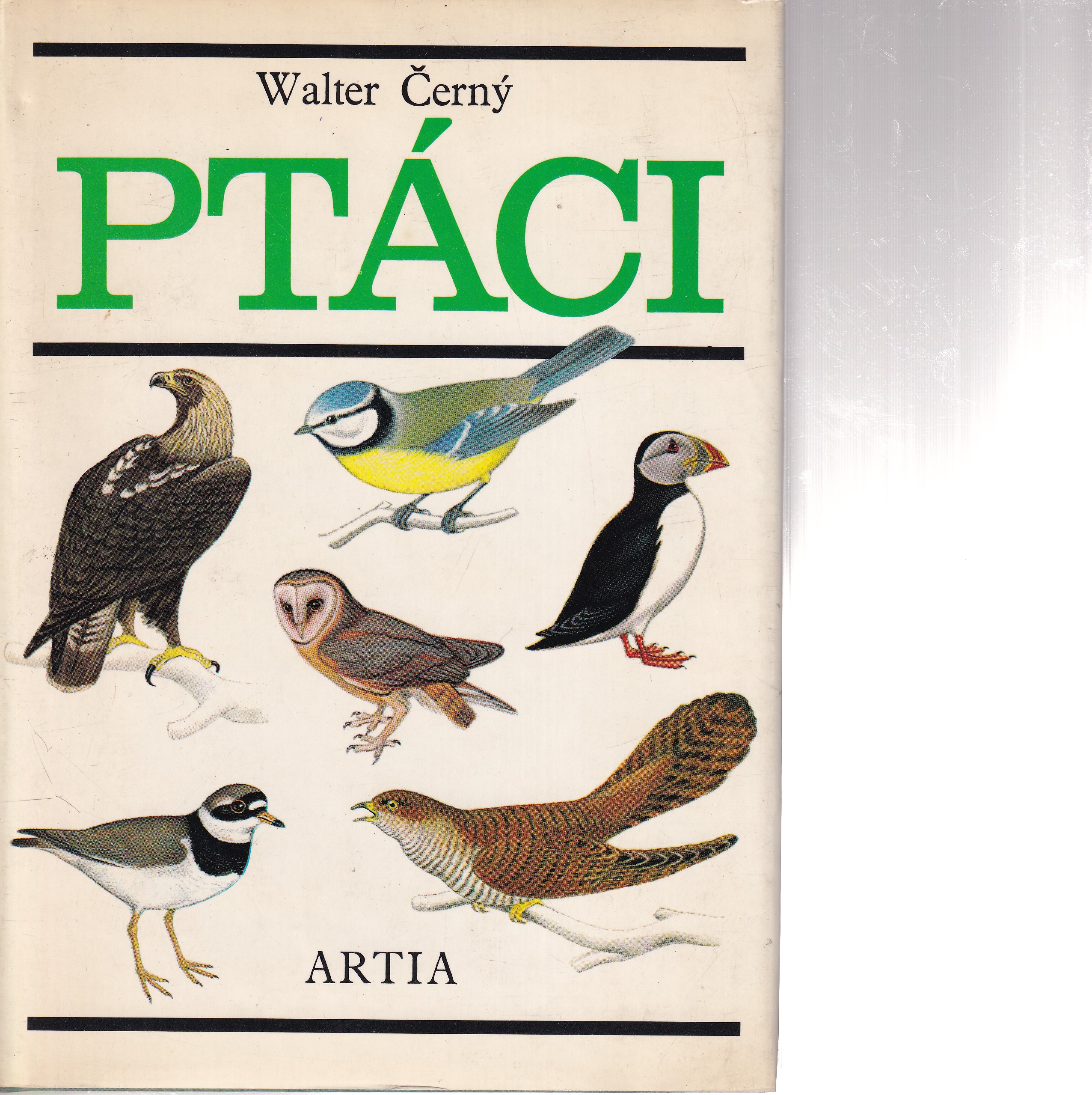 Ptáci