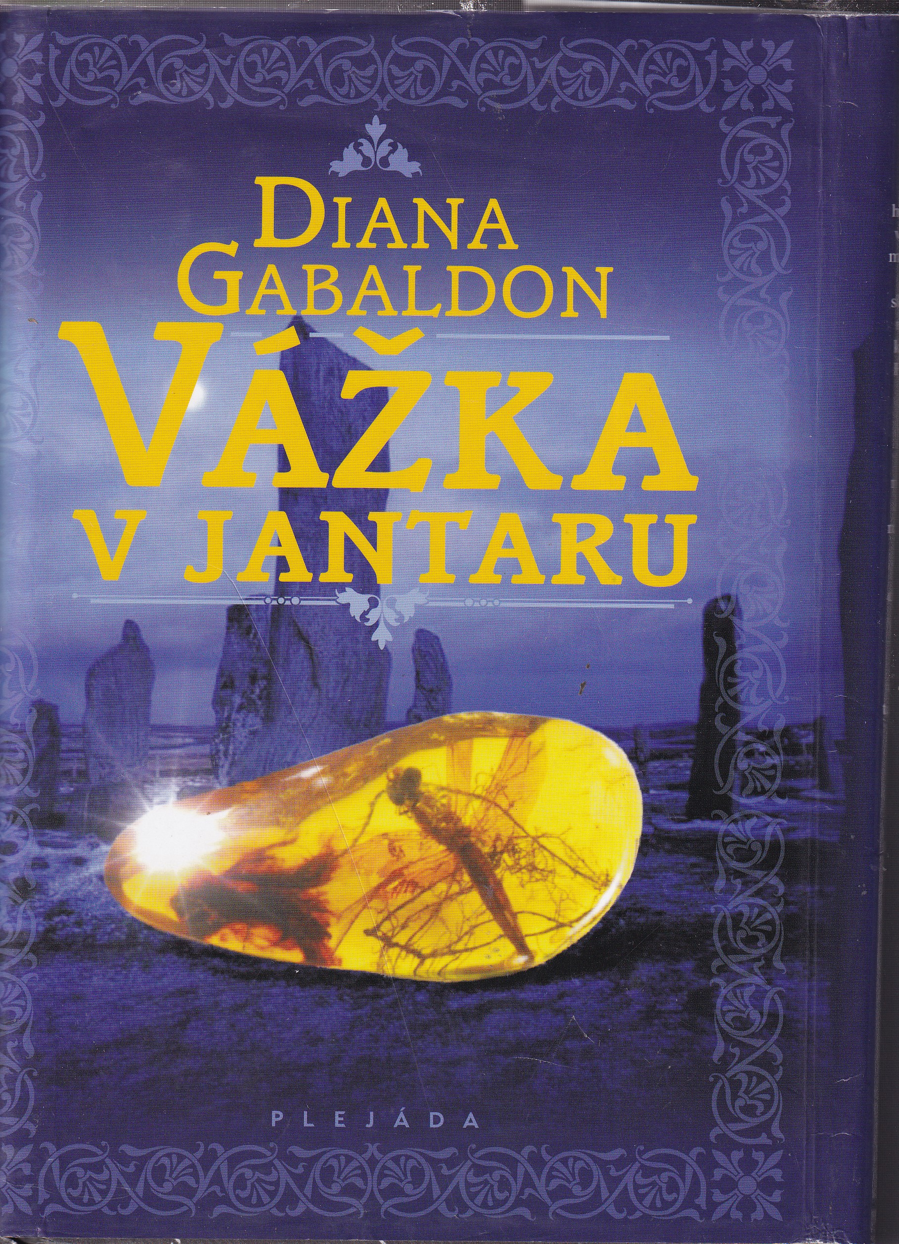 Vážka v jantaru