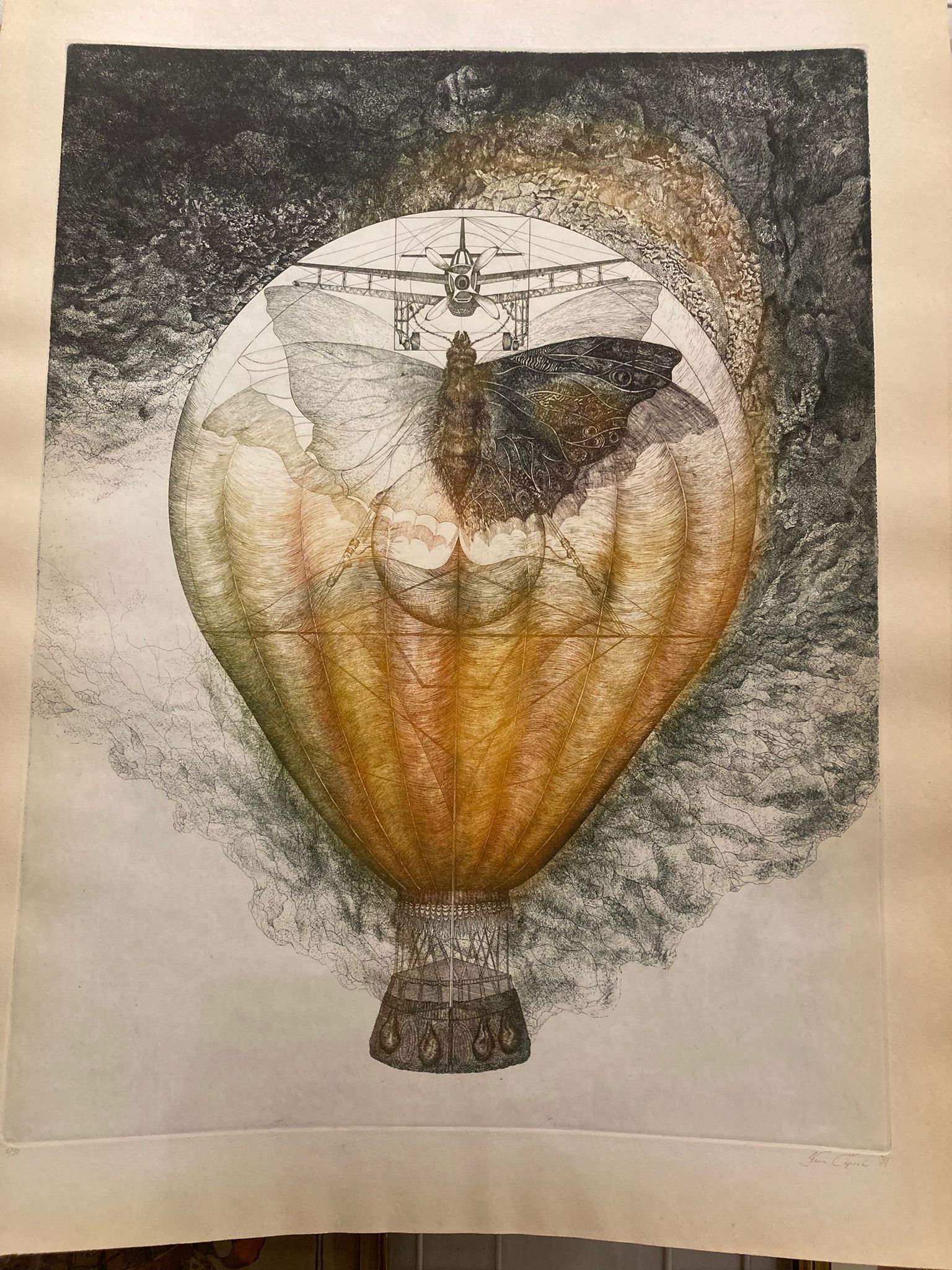 Hana Čápová : Balon - Můra / velký lept