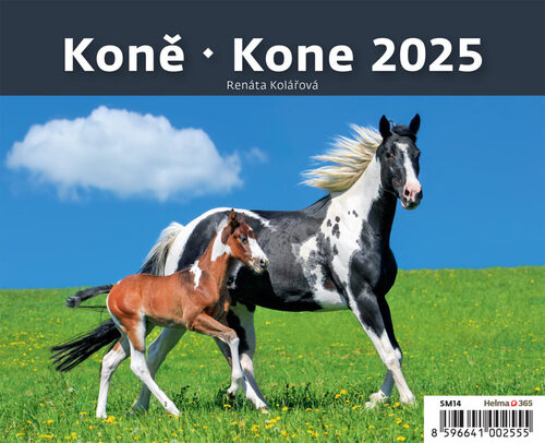 Koně 2025 - stolní kalendář