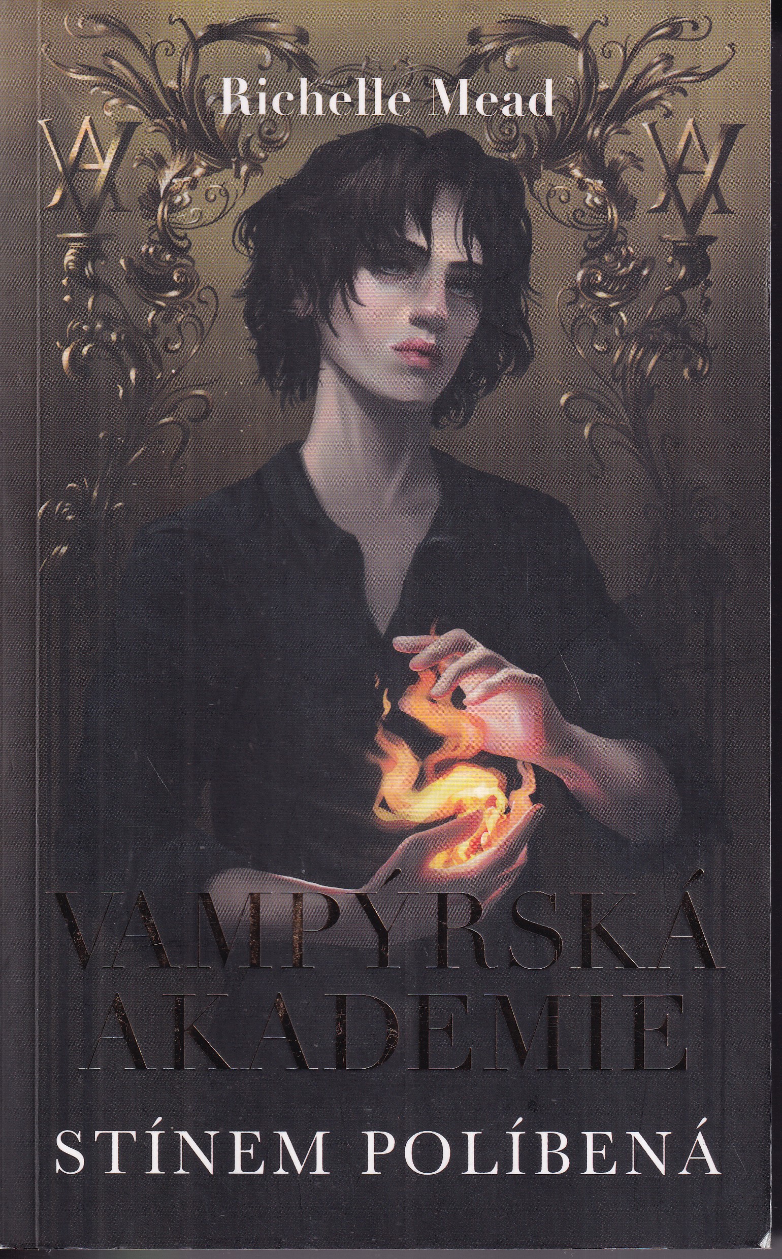 Vampýrská akademie - Stínem políbená