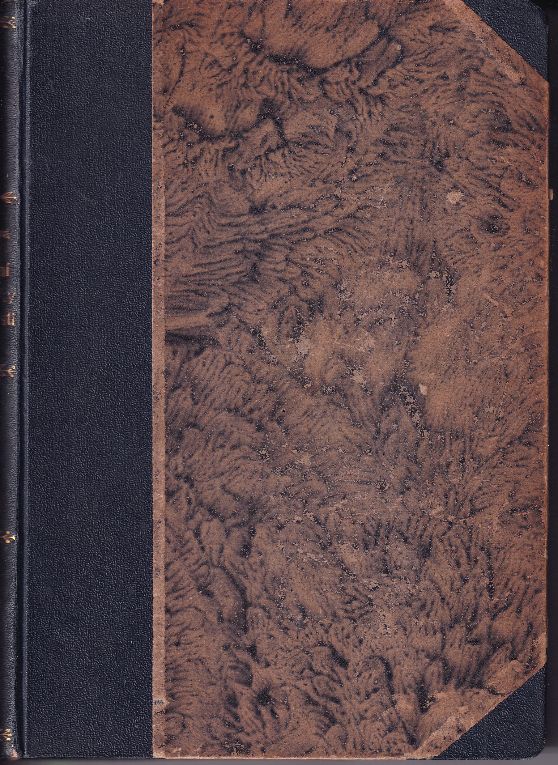 Národní báchorky a pověsti - díl IV.