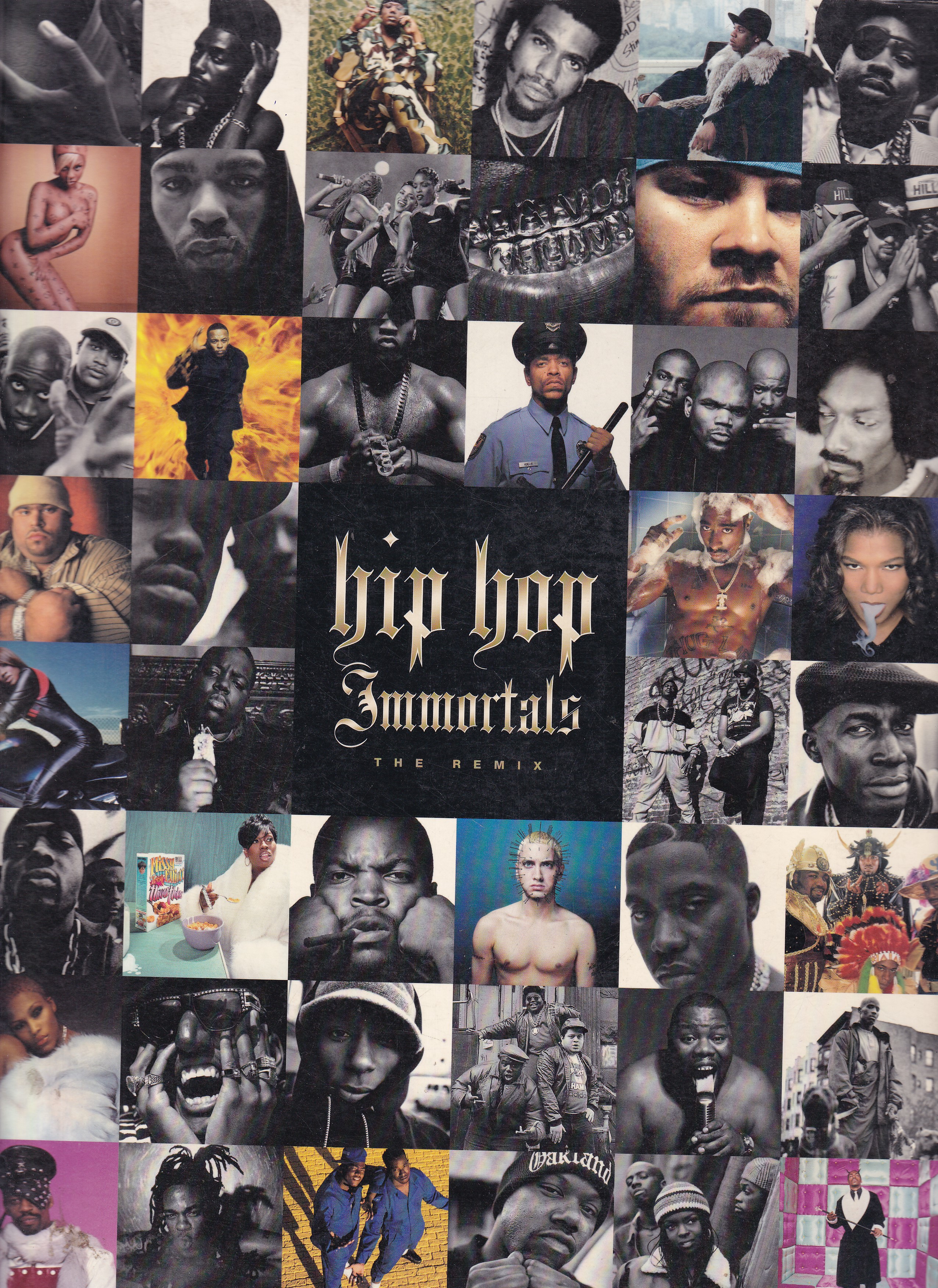 Hip Hop Immortals The Remix