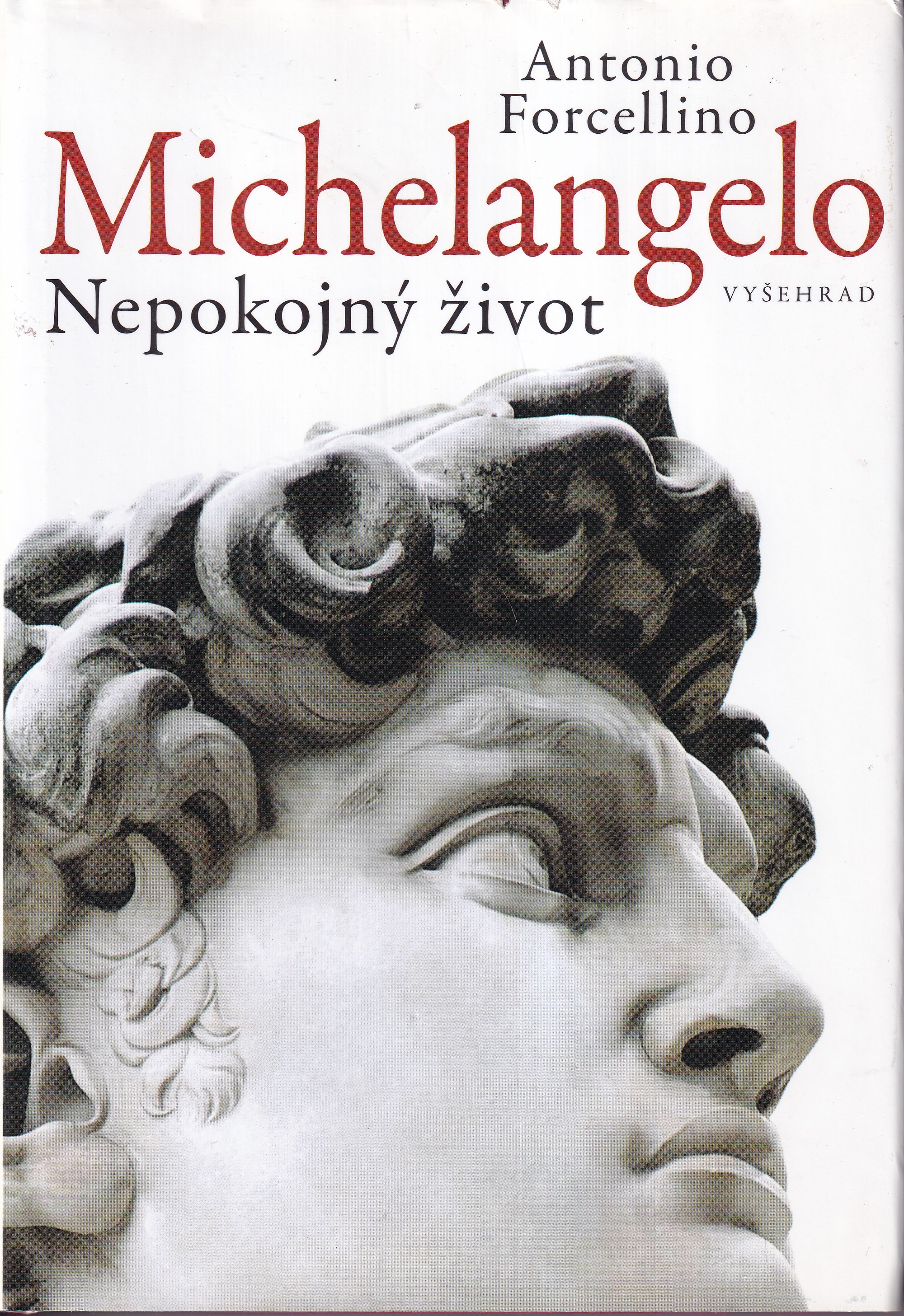 Michelangelo : nepokojný život 