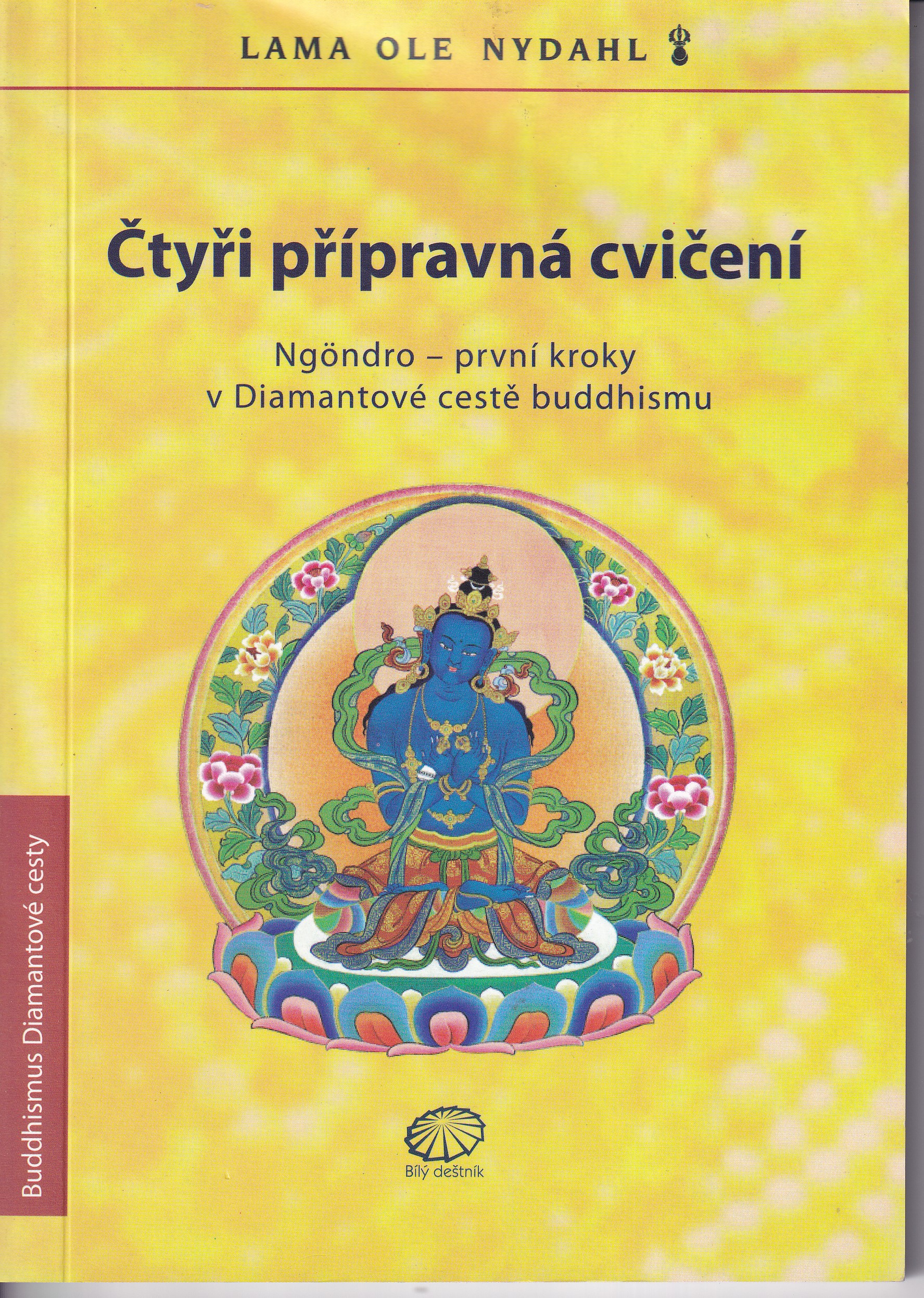 Čtyři přípravná cvičení : Ngöndro - první kroky v Diamantové cestě buddhismu 